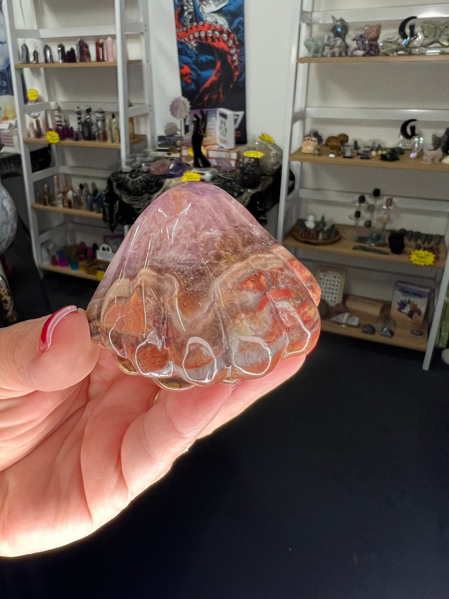 Amethyst x Mexican Lace Agate Shell