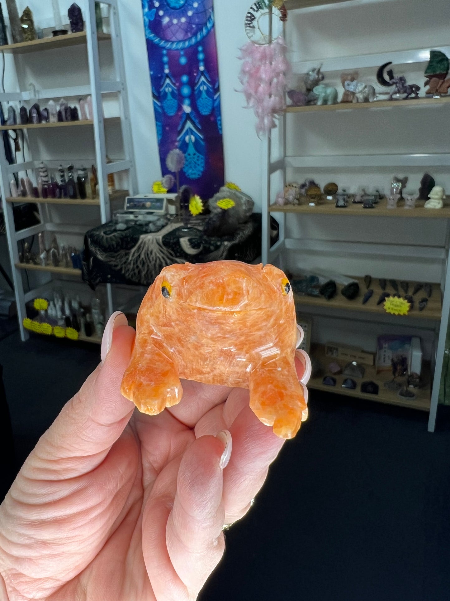 Sunstone Frog