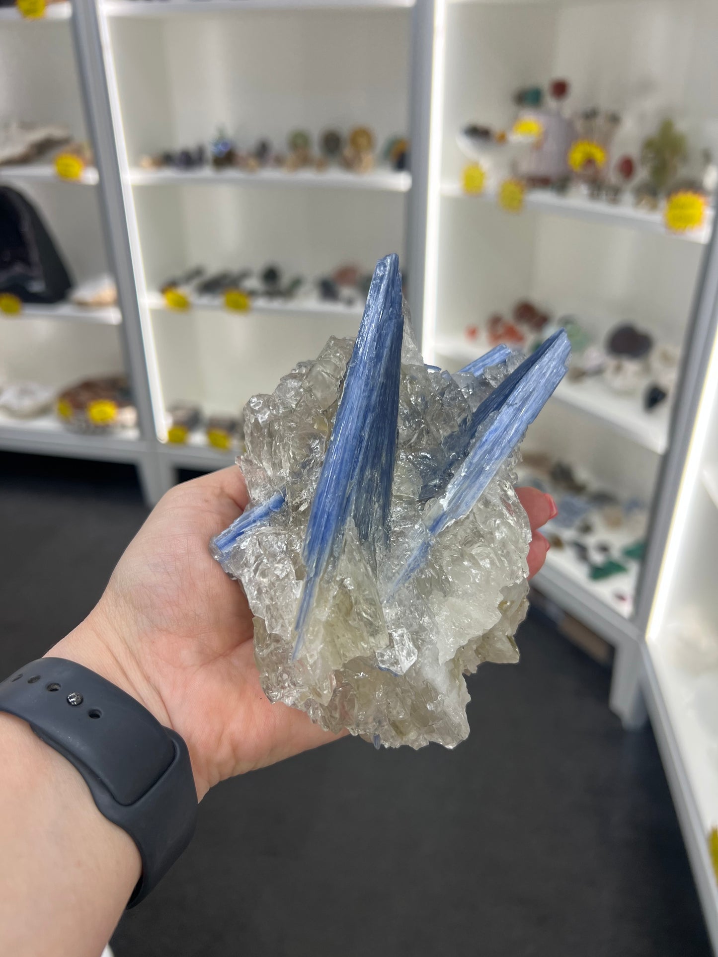 Blue Kyanite x Clear Quartz Specimen