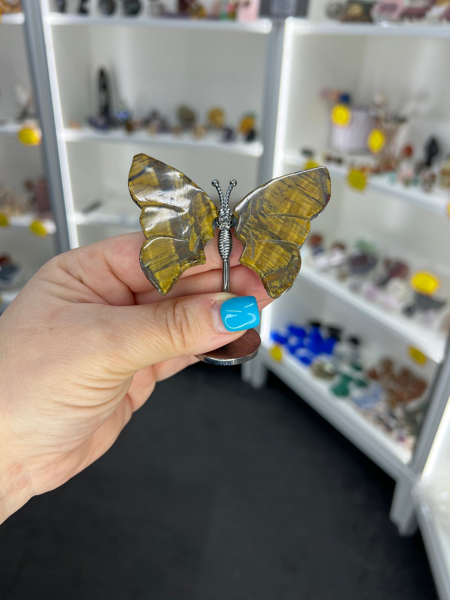 Tigers Eye Butterfly
