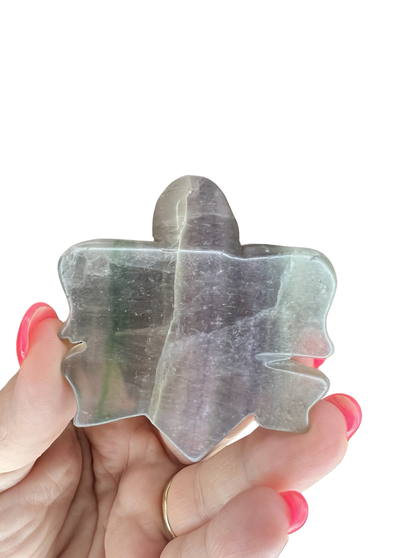 Fluorite Turtle