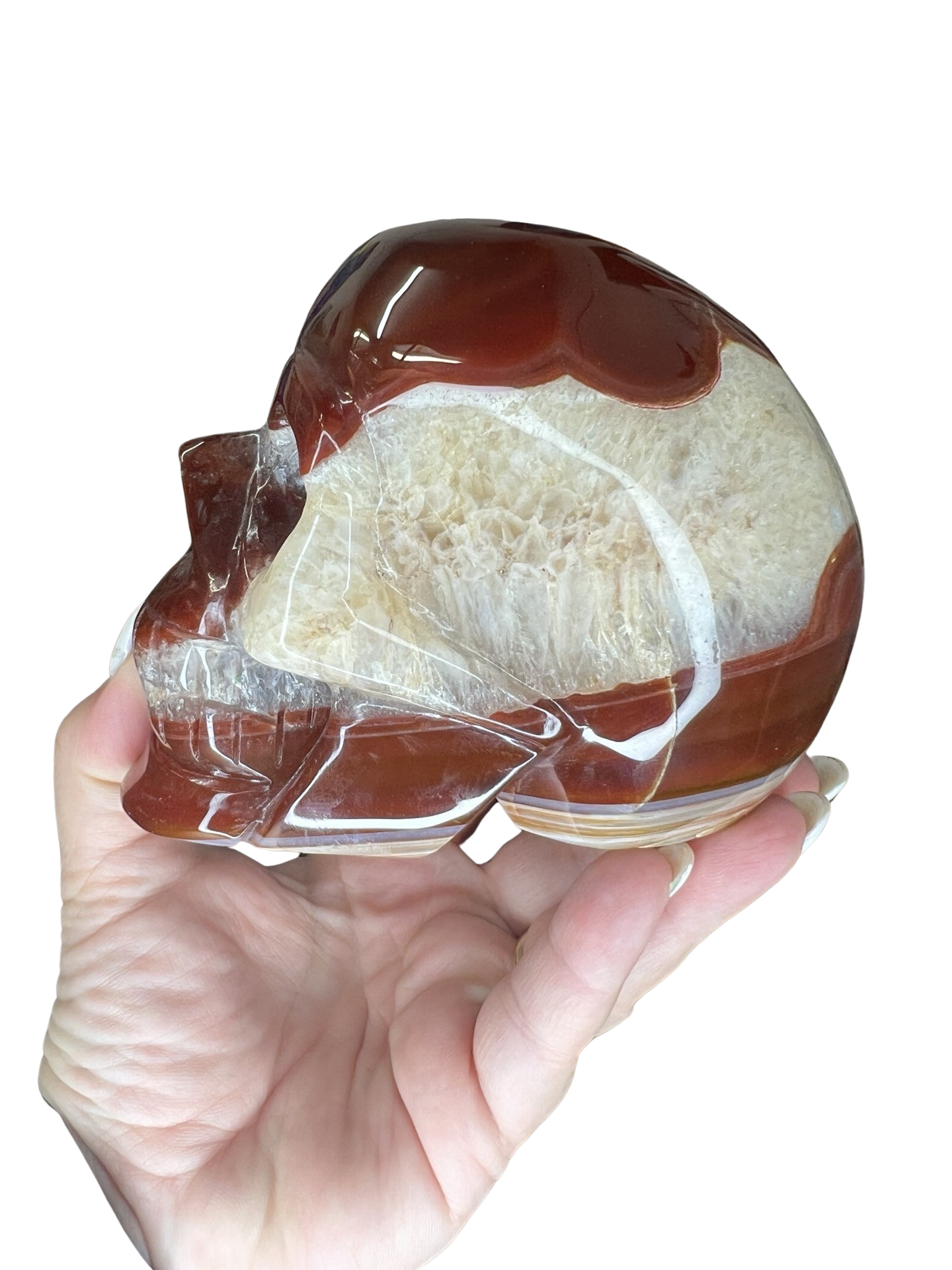 Carnelian Skull Carving