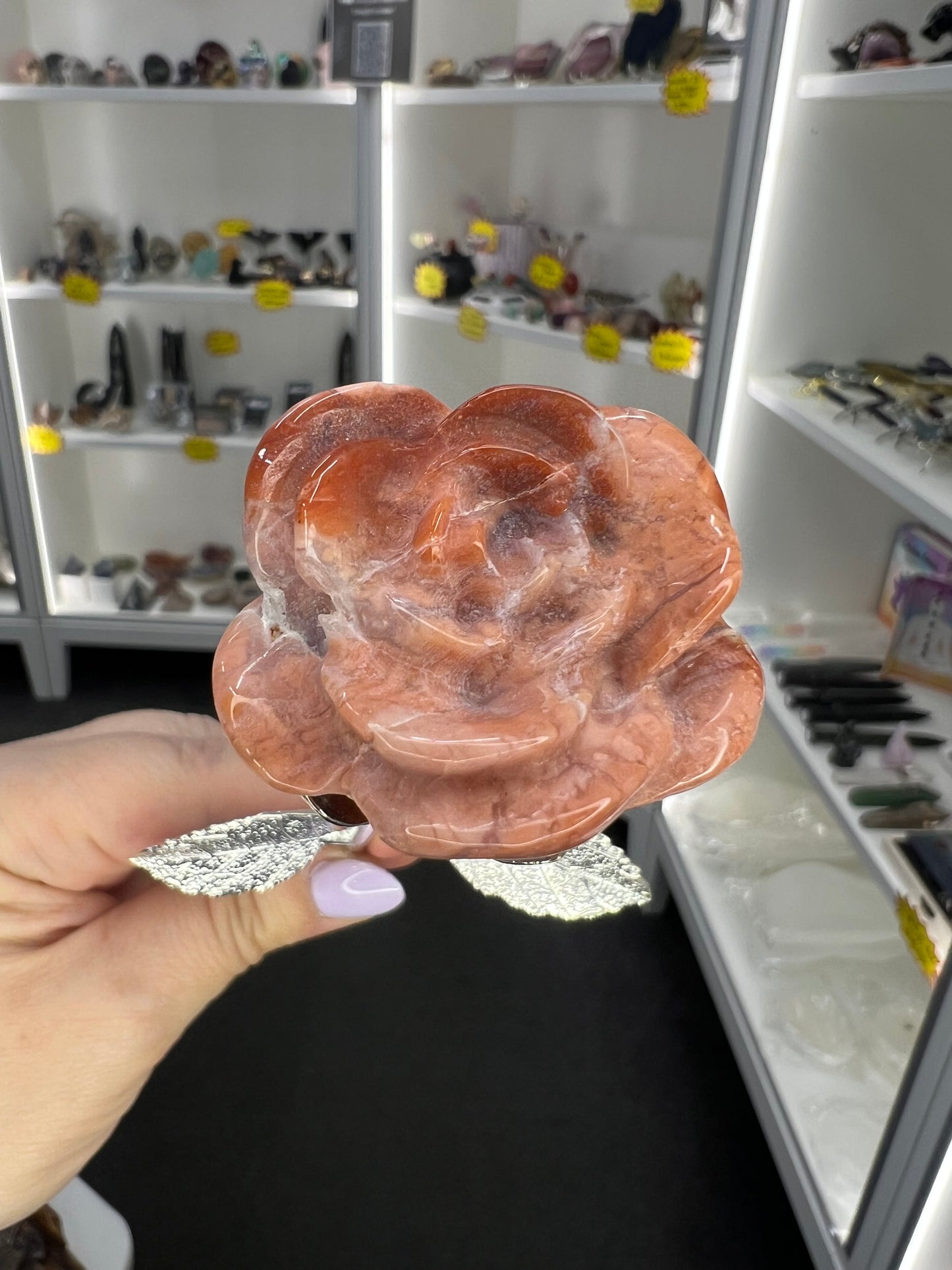 Pink Agate Forever Rose