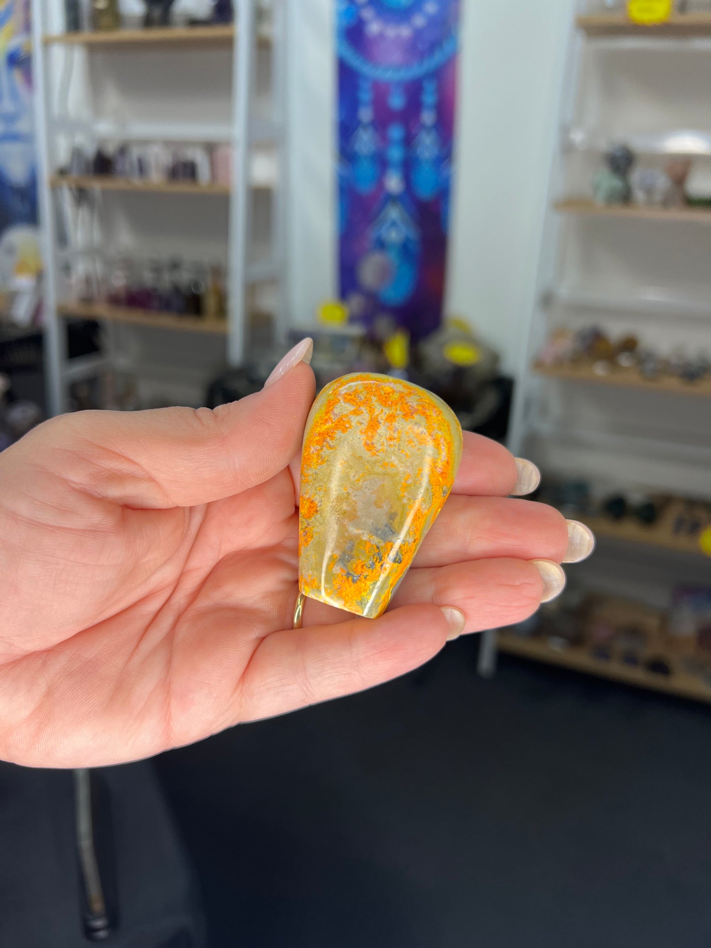 Bumblebee Jasper Freeform