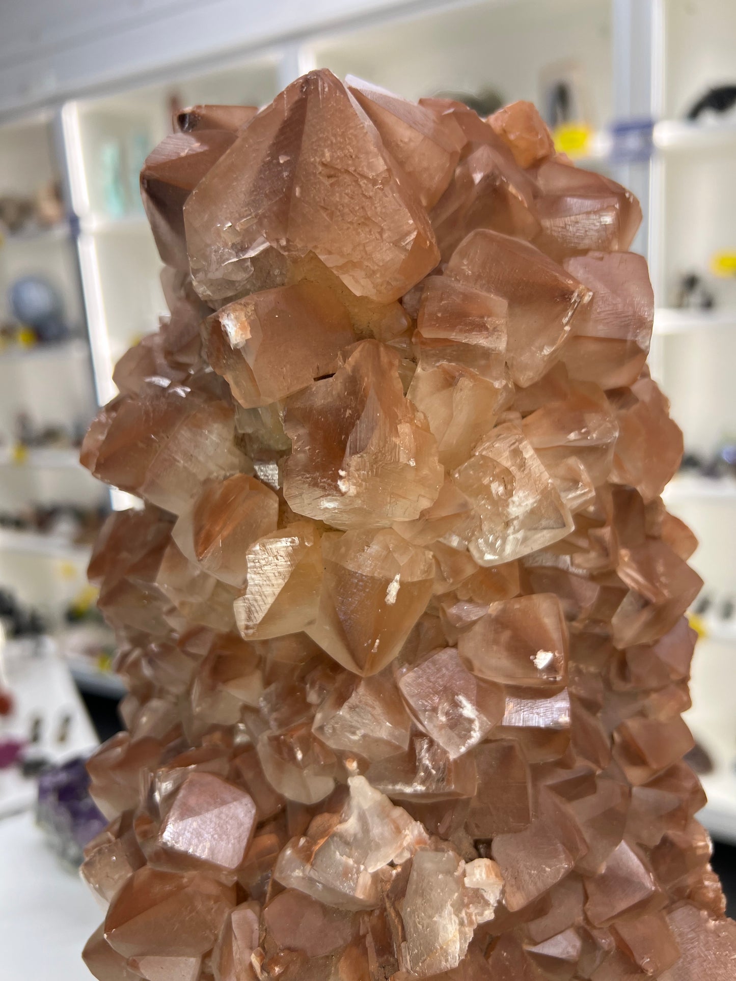 Red Calcite Cluster on Wooden Stand
