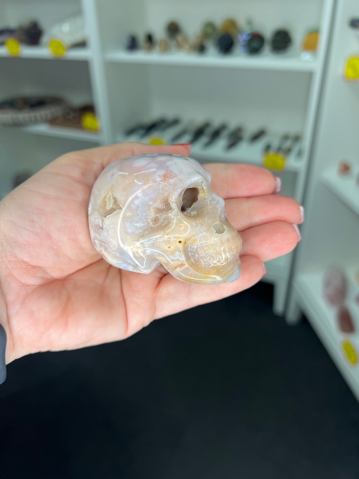 Flower Agate Skull