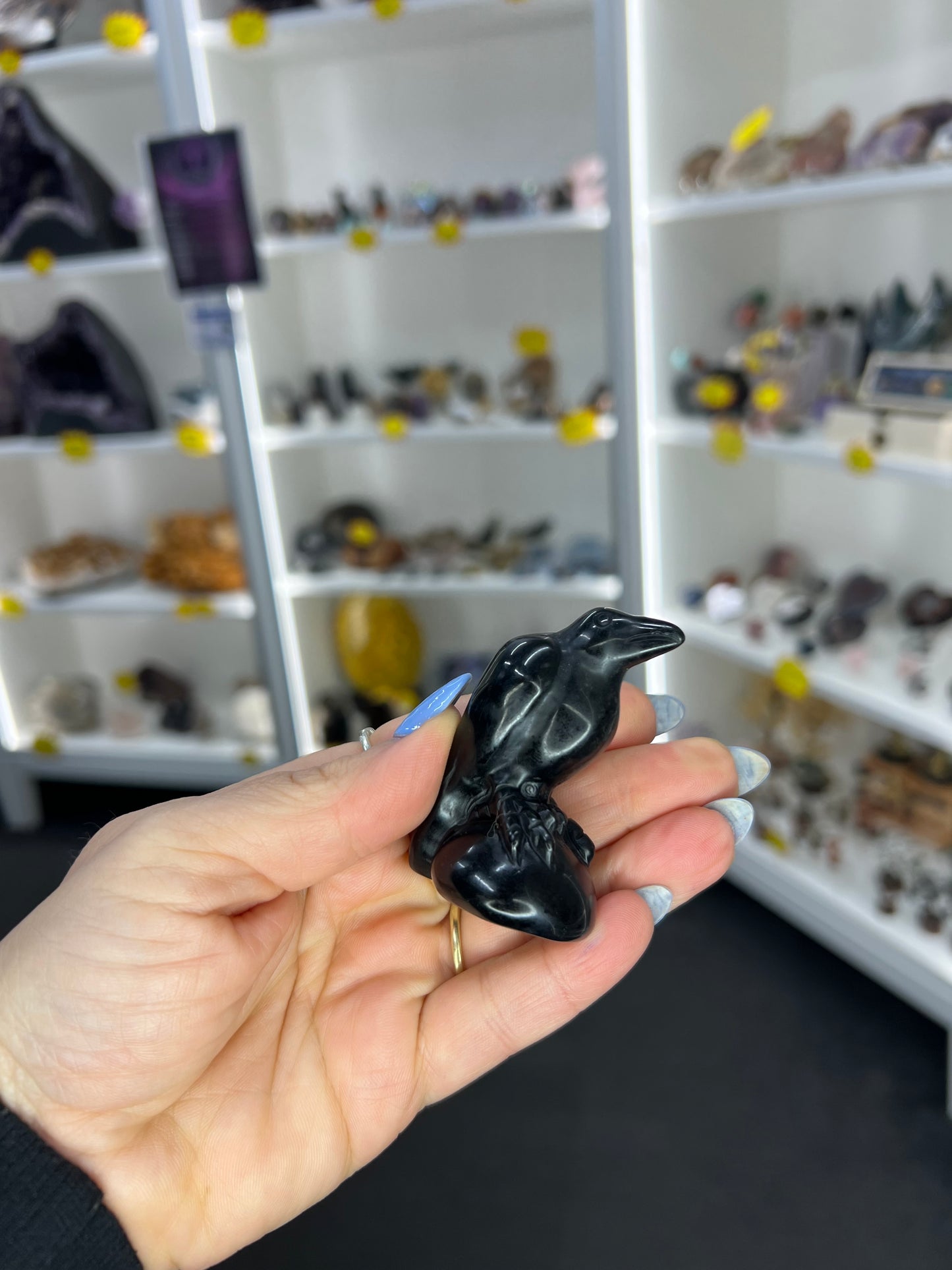 Black Obsidian Crow