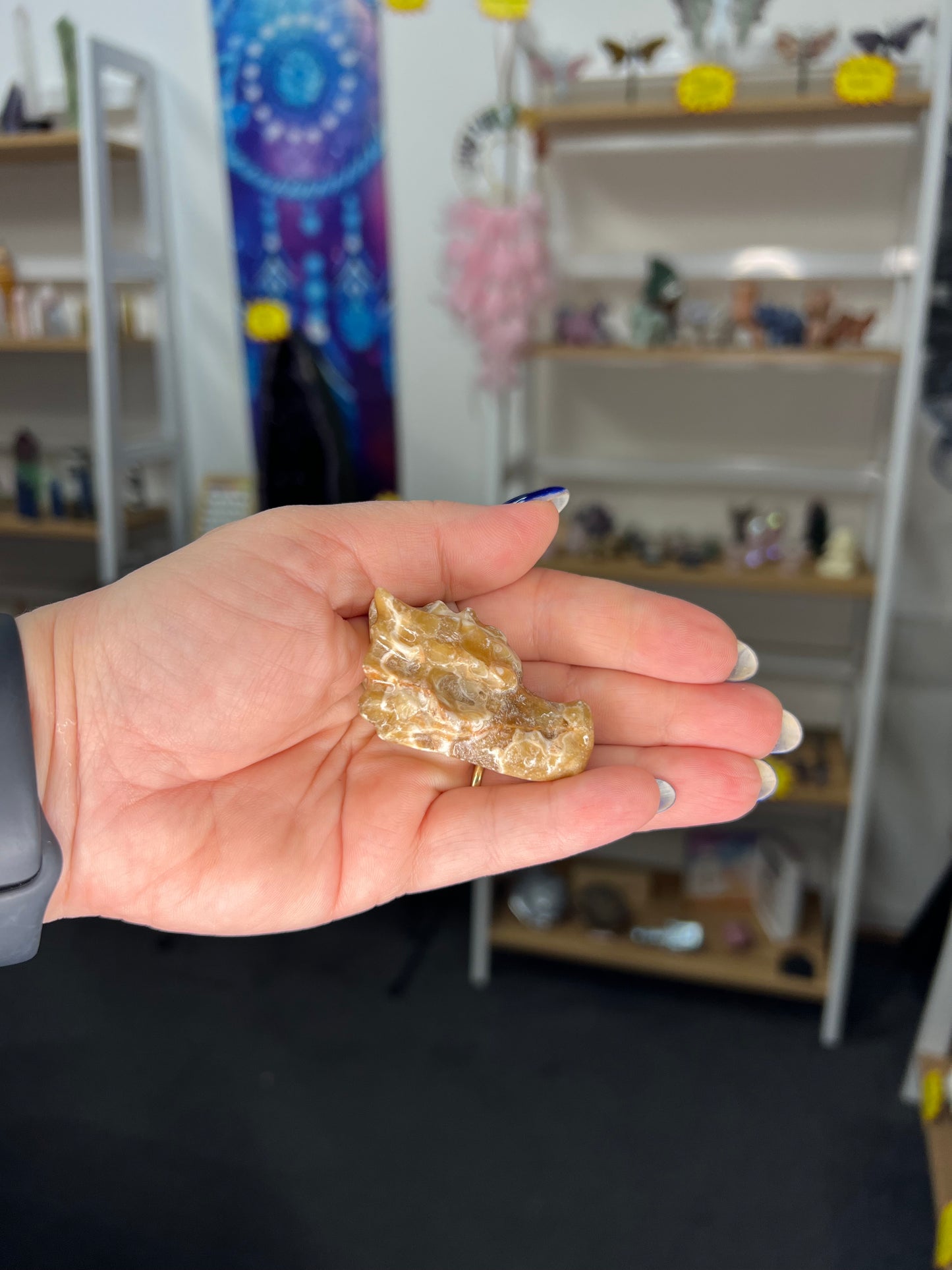 Chocolate Calcite Dragon Head