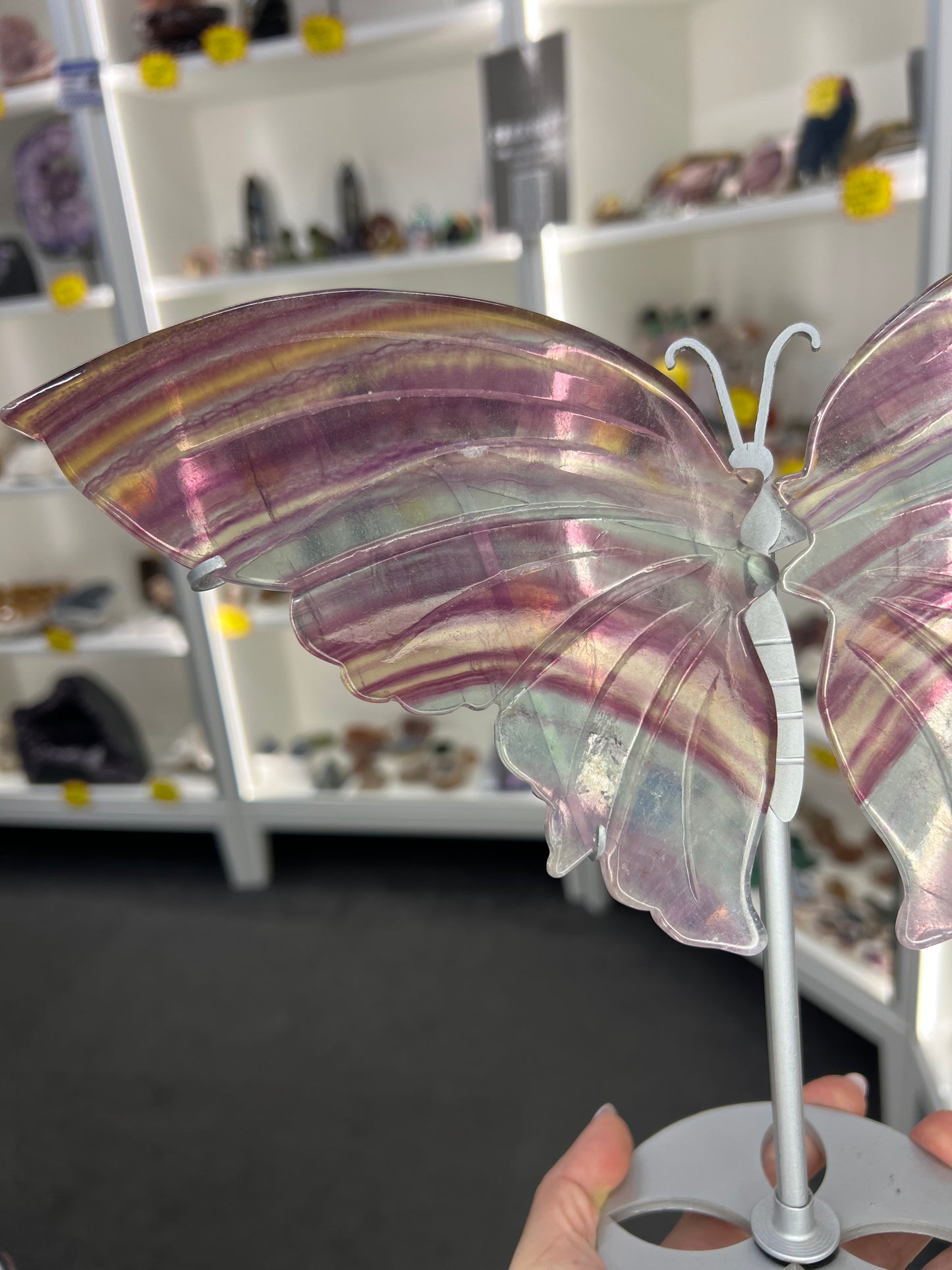 Fluorite Butterfly