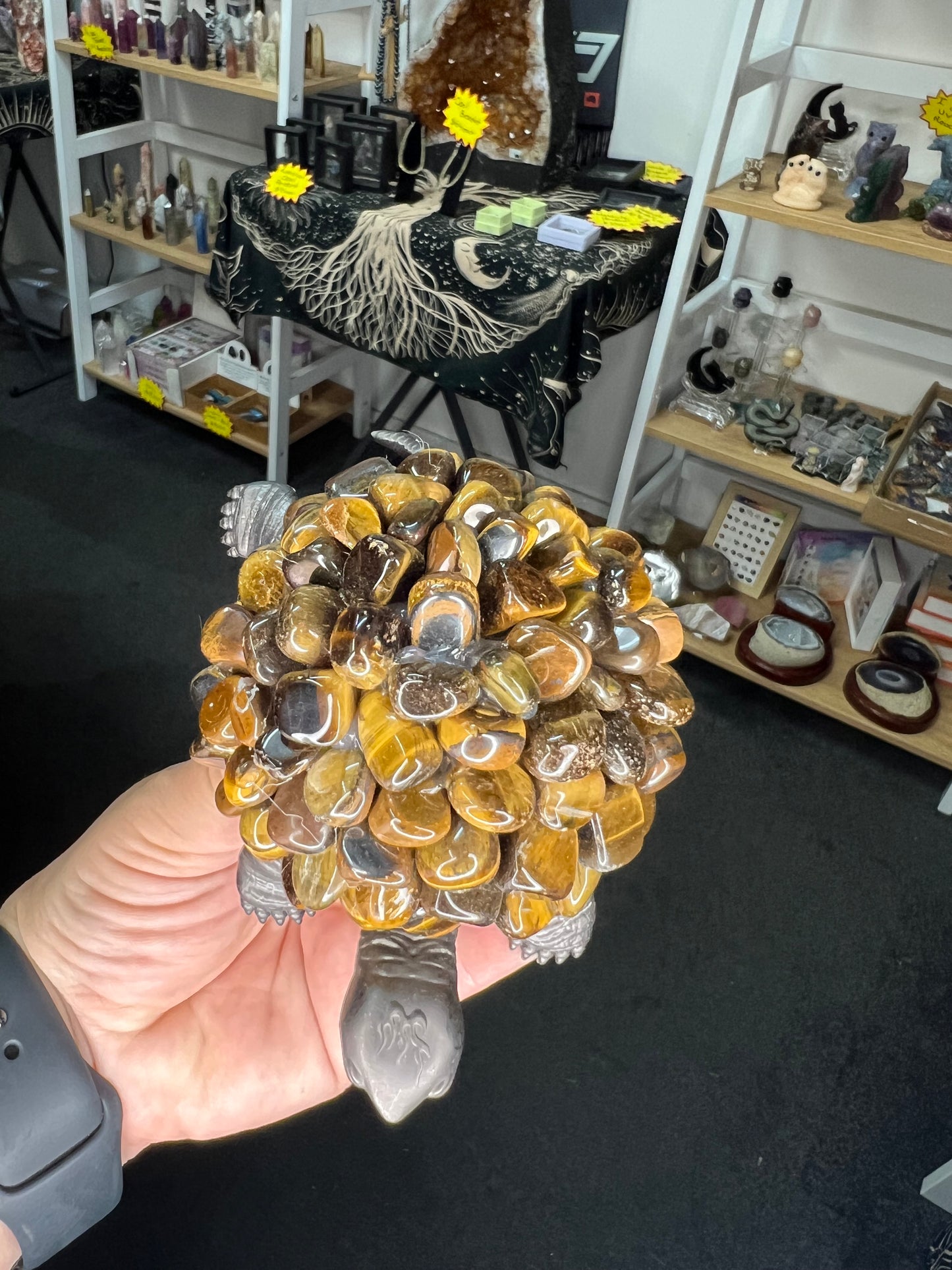 Tiger Eye Turtle