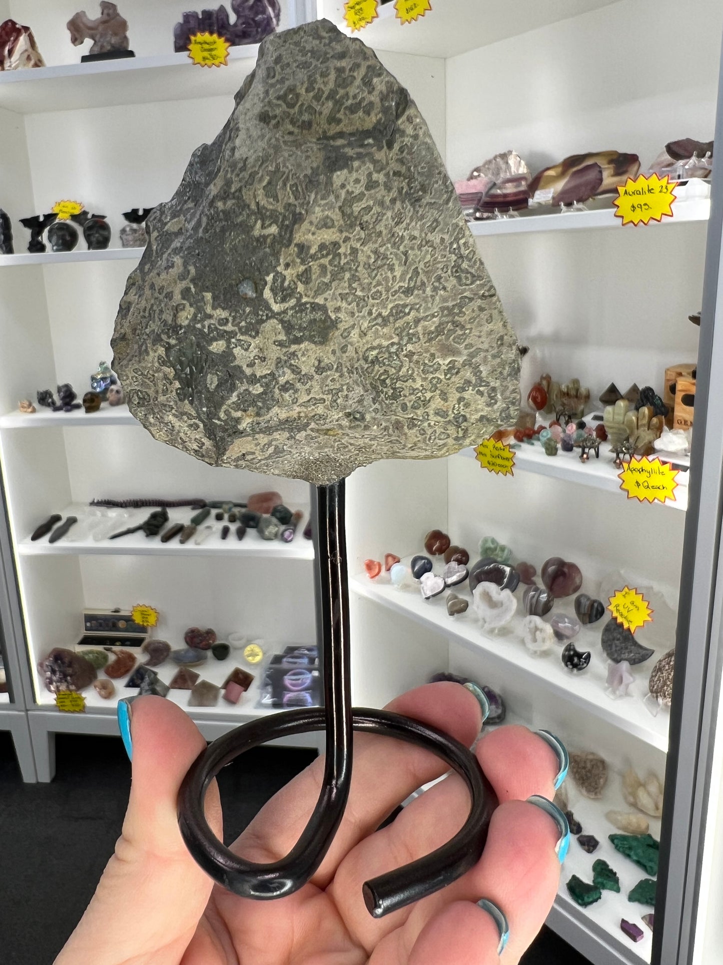 Amethyst Cluster on Stand