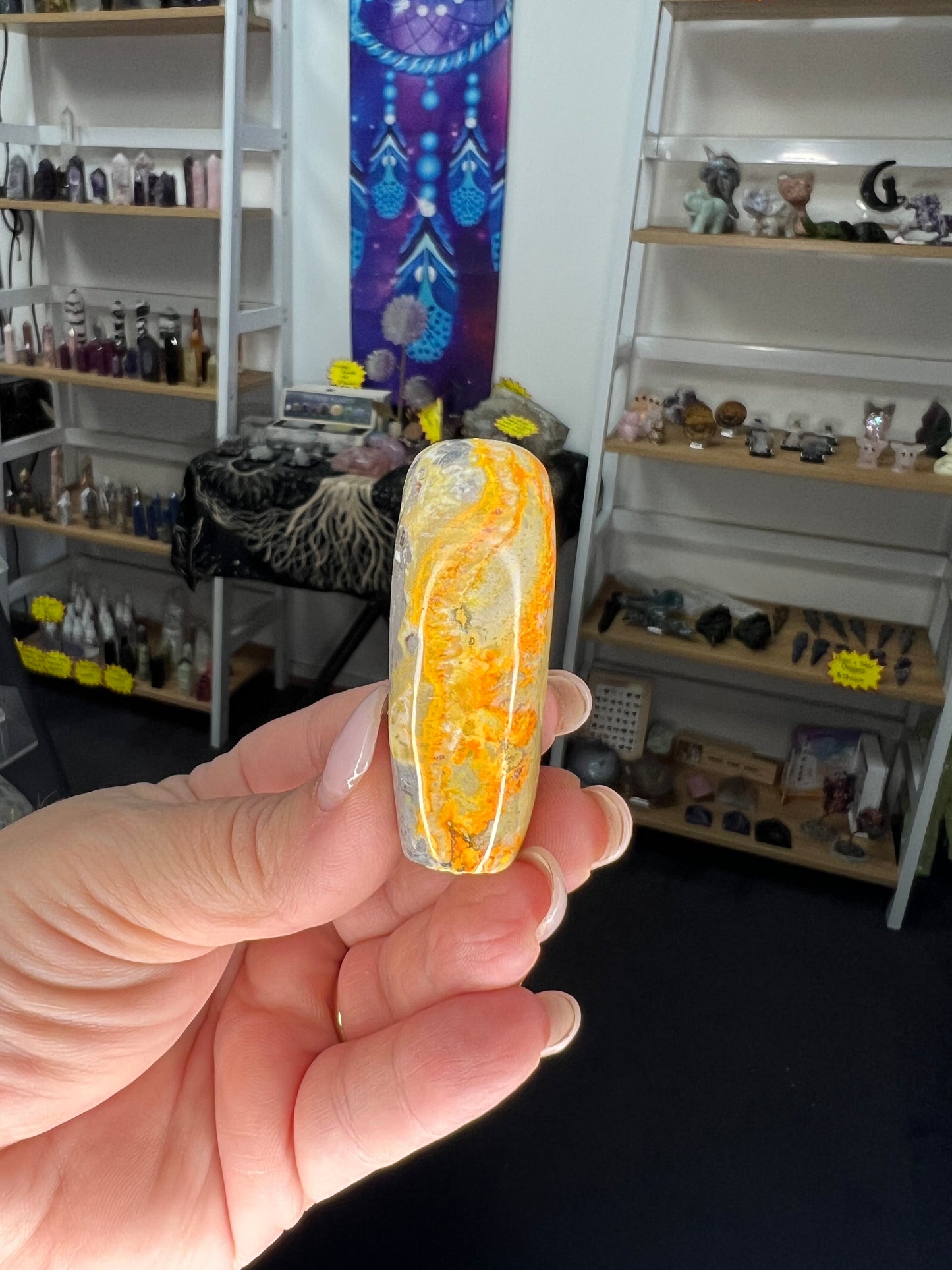 Bumblebee Jasper Freeform