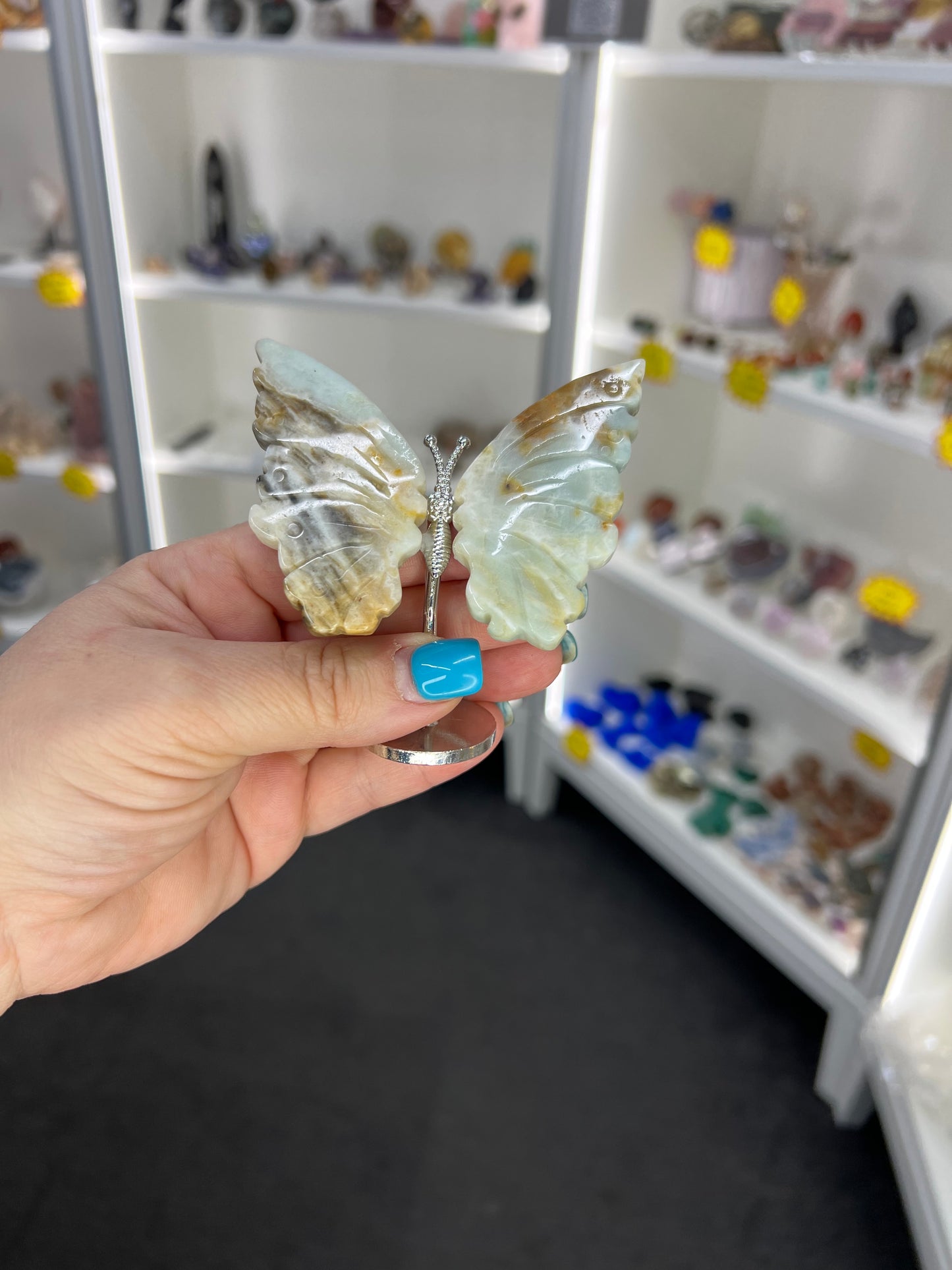 Caribbean Calcite Butterfly