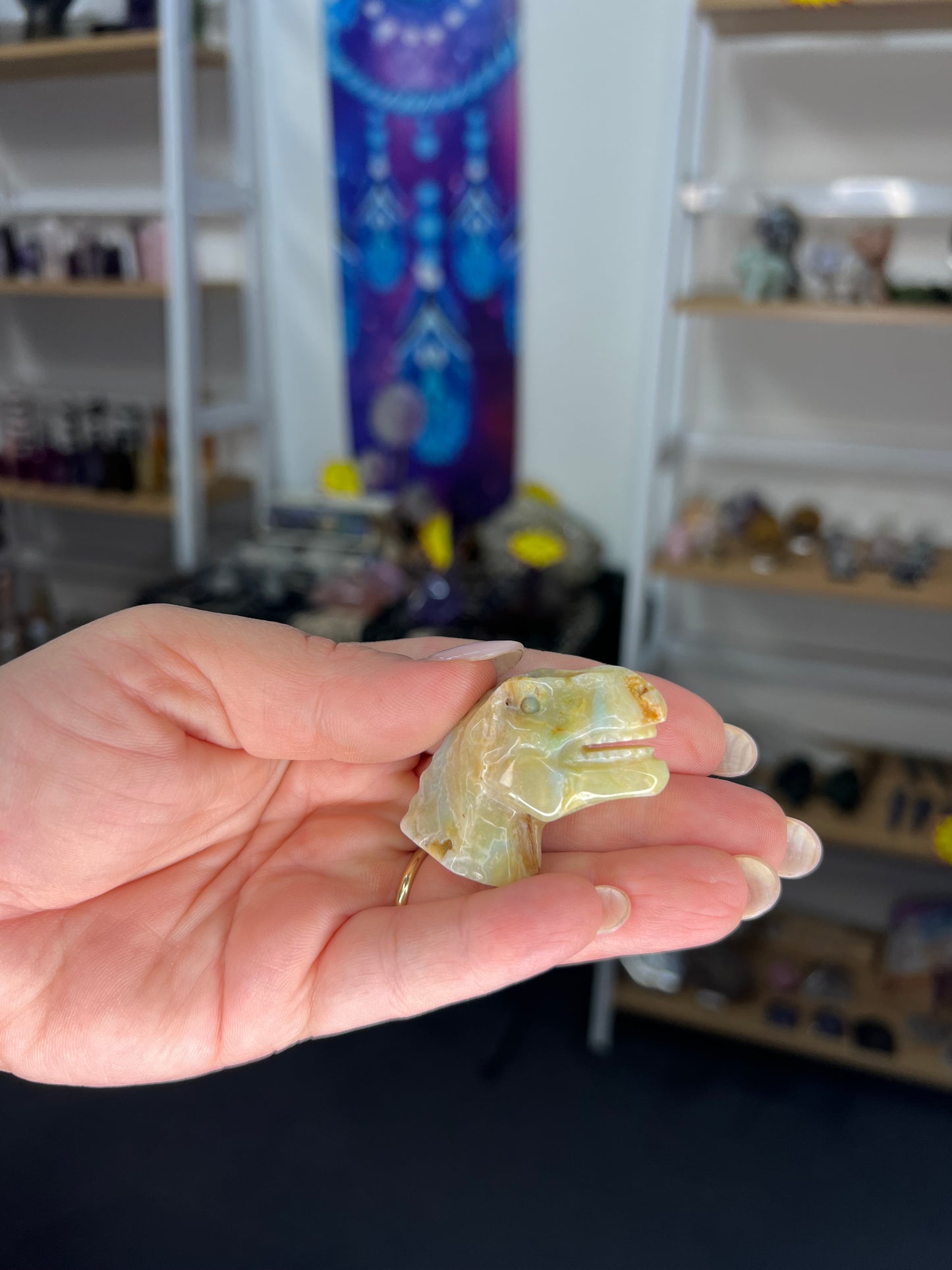 Caribbean Calcite Dinosaur Head