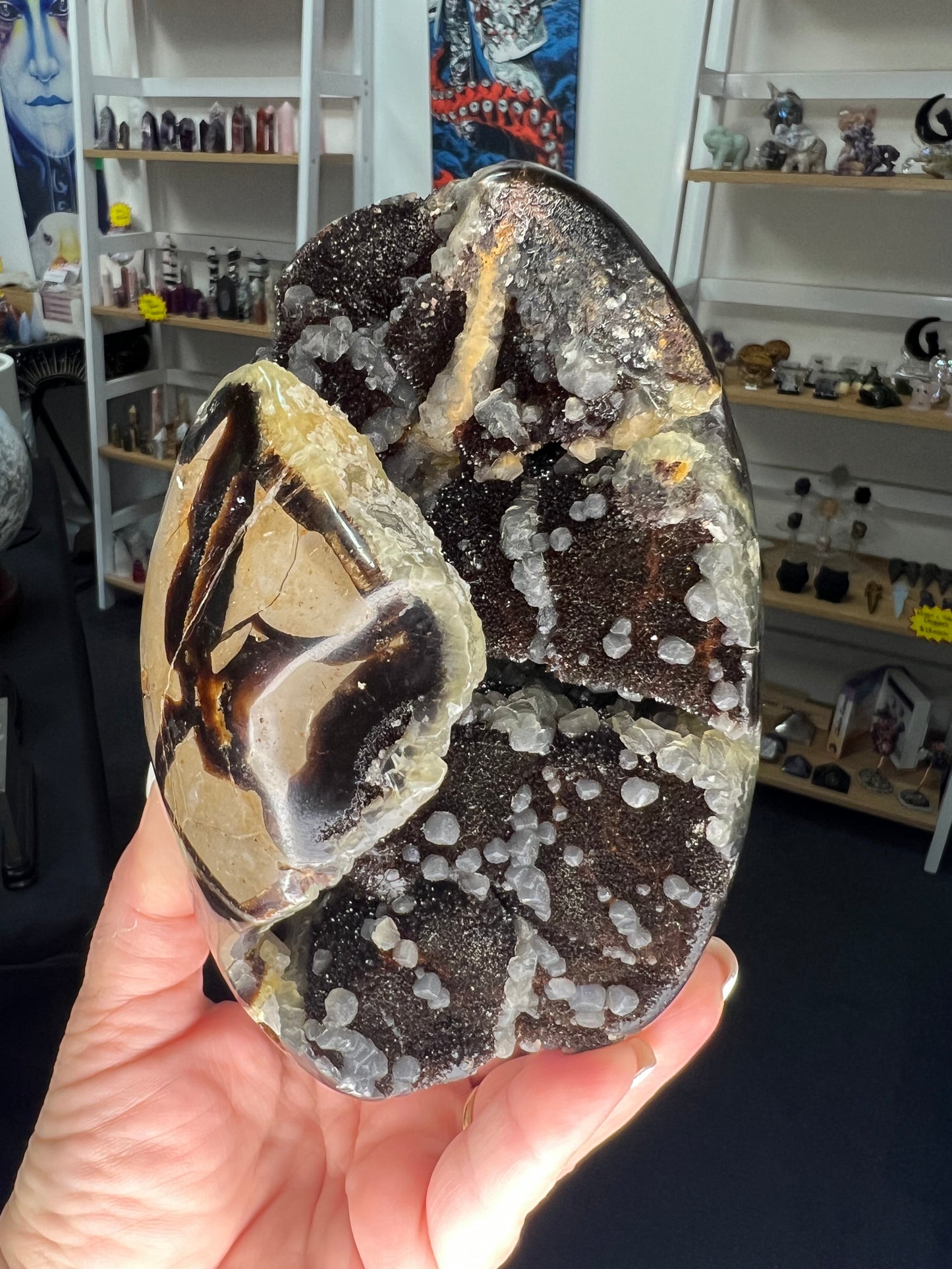 Septarian Freeform