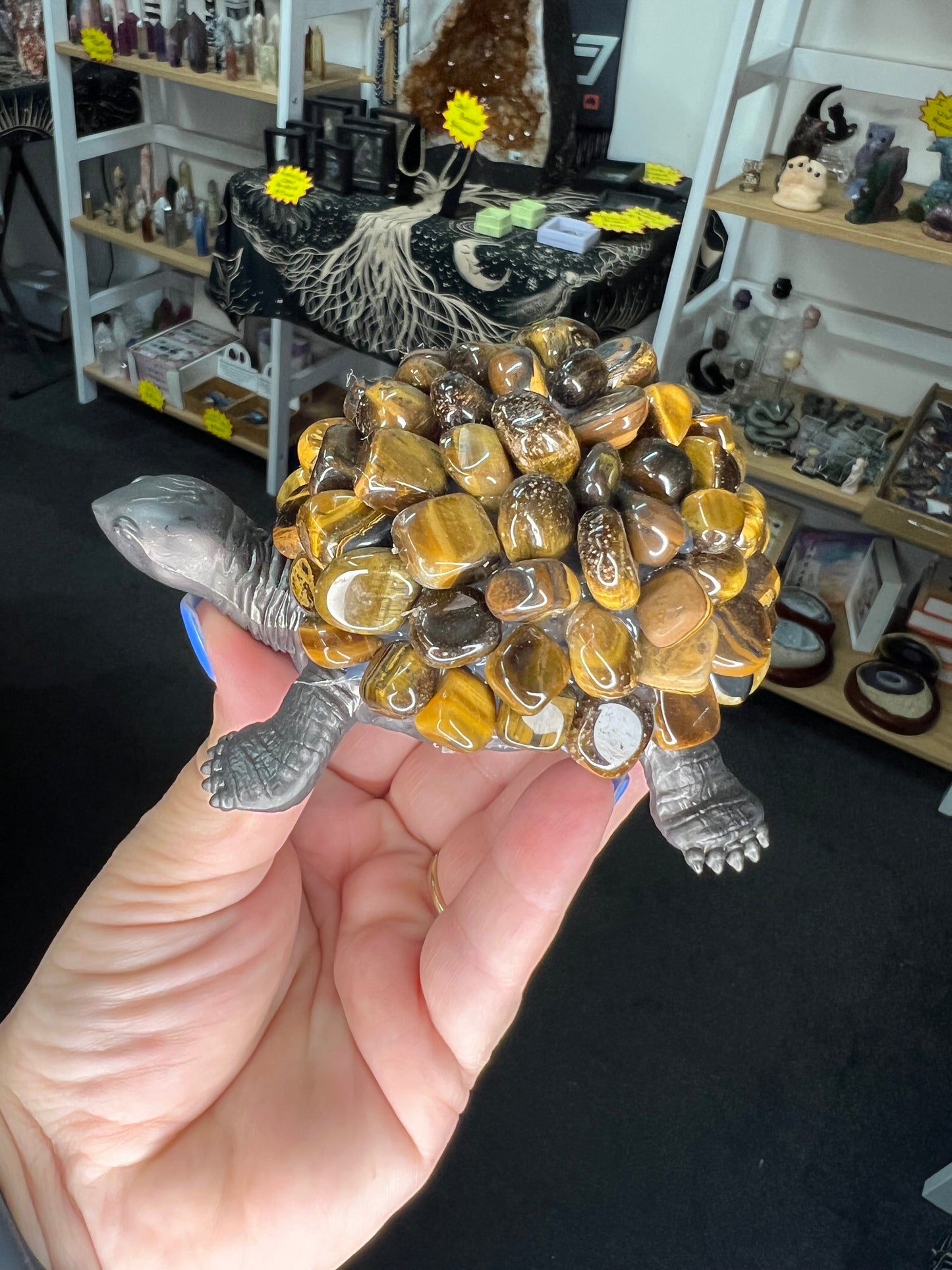 Tiger Eye Turtle