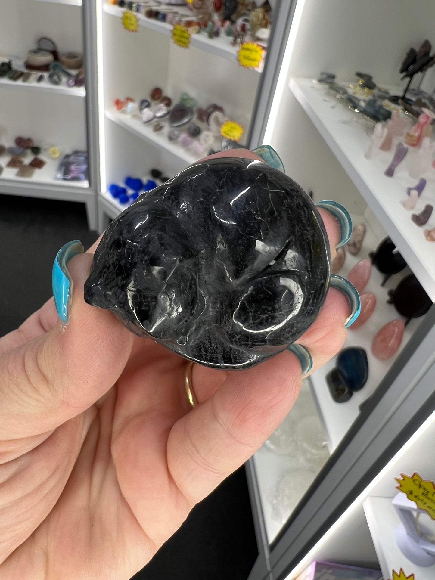 Black Tourmaline Sleeping Cat