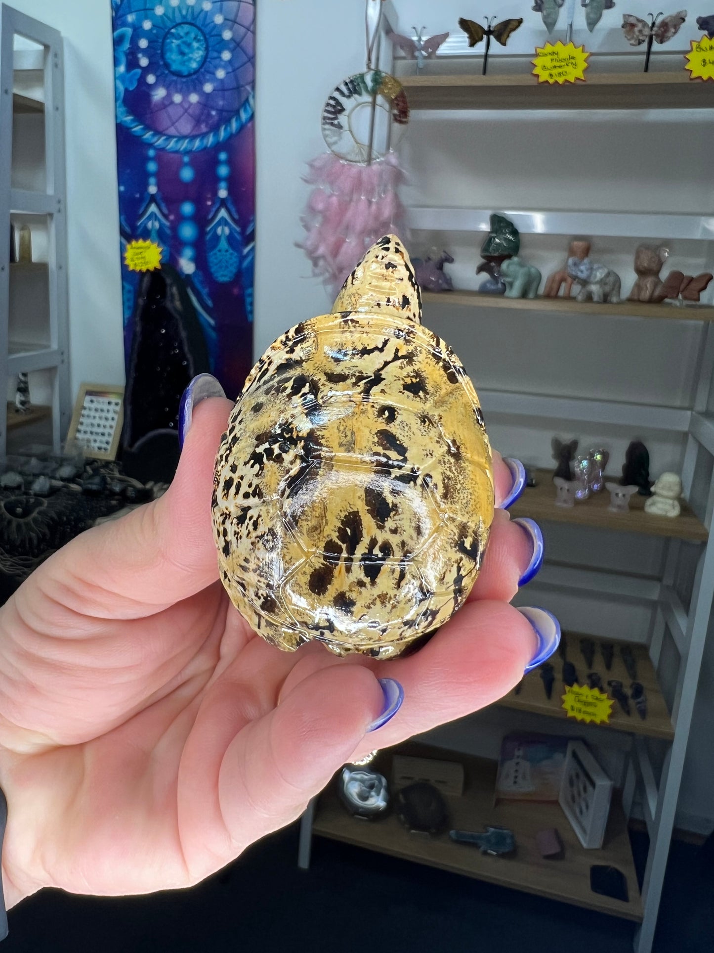 Picture Stone Jasper Turtle