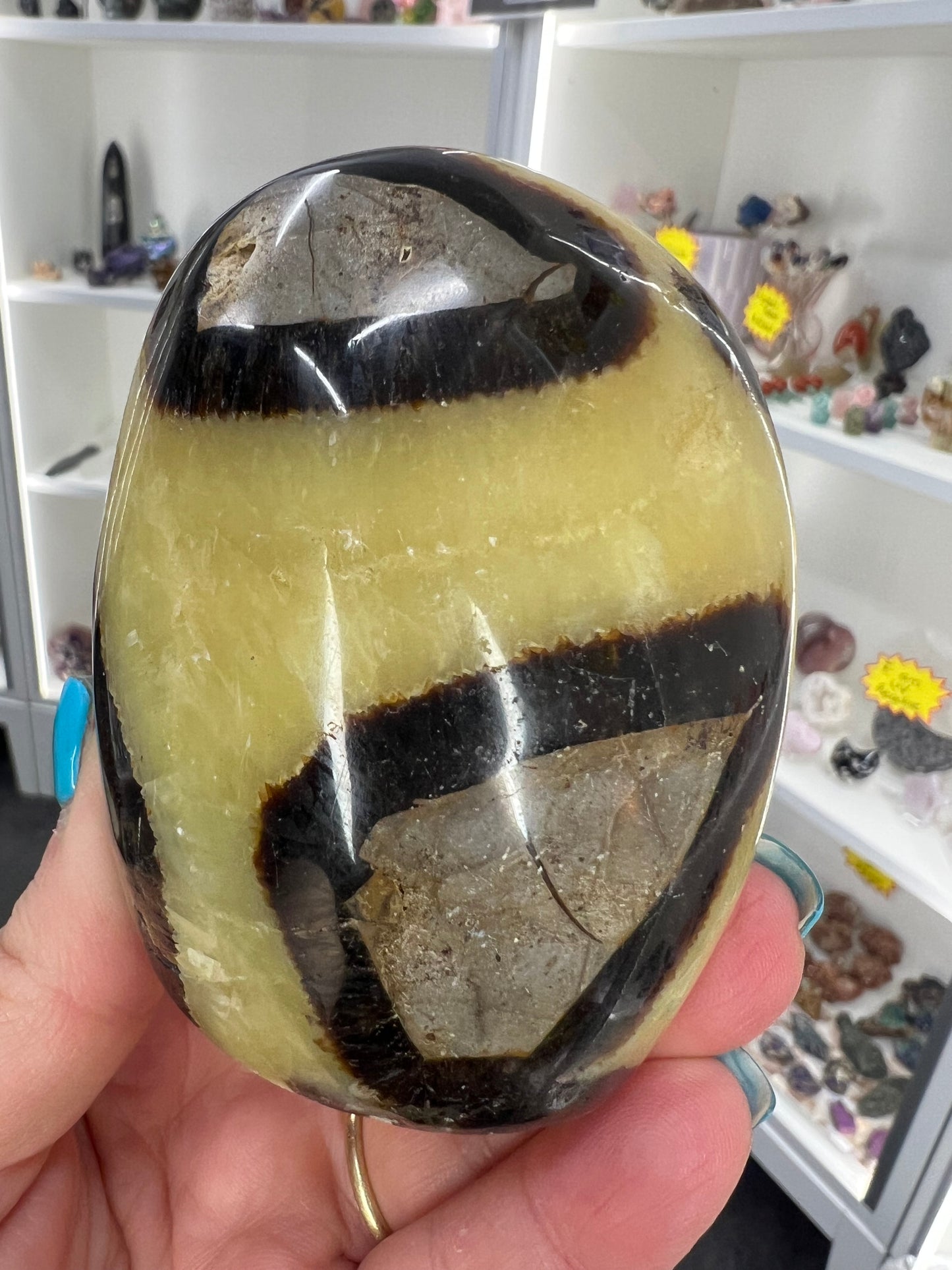 Septarian Freeform