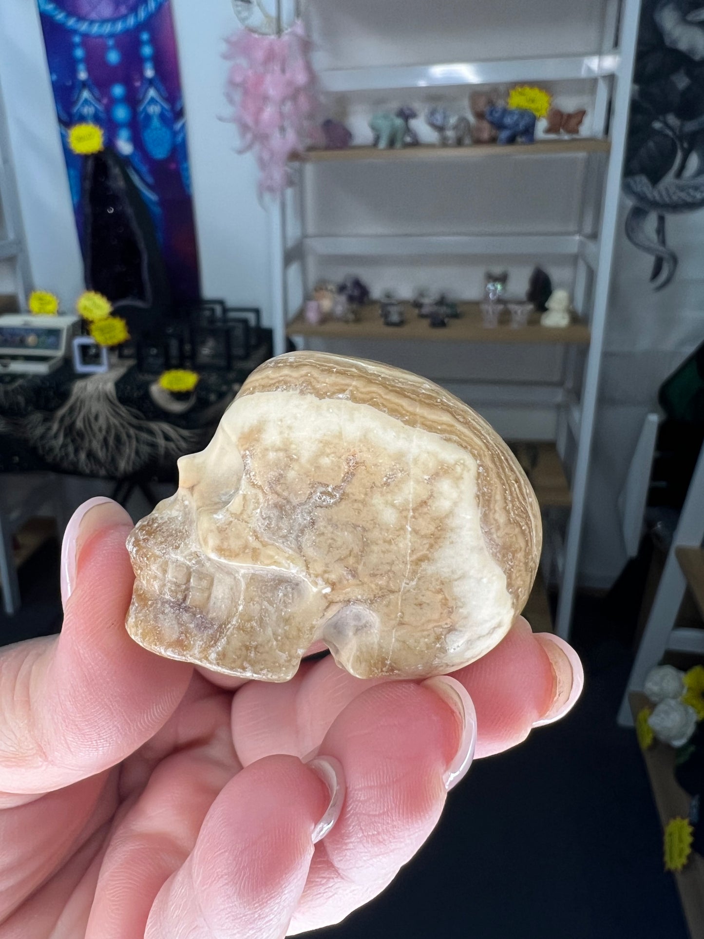 Chocolate Calcite Skull