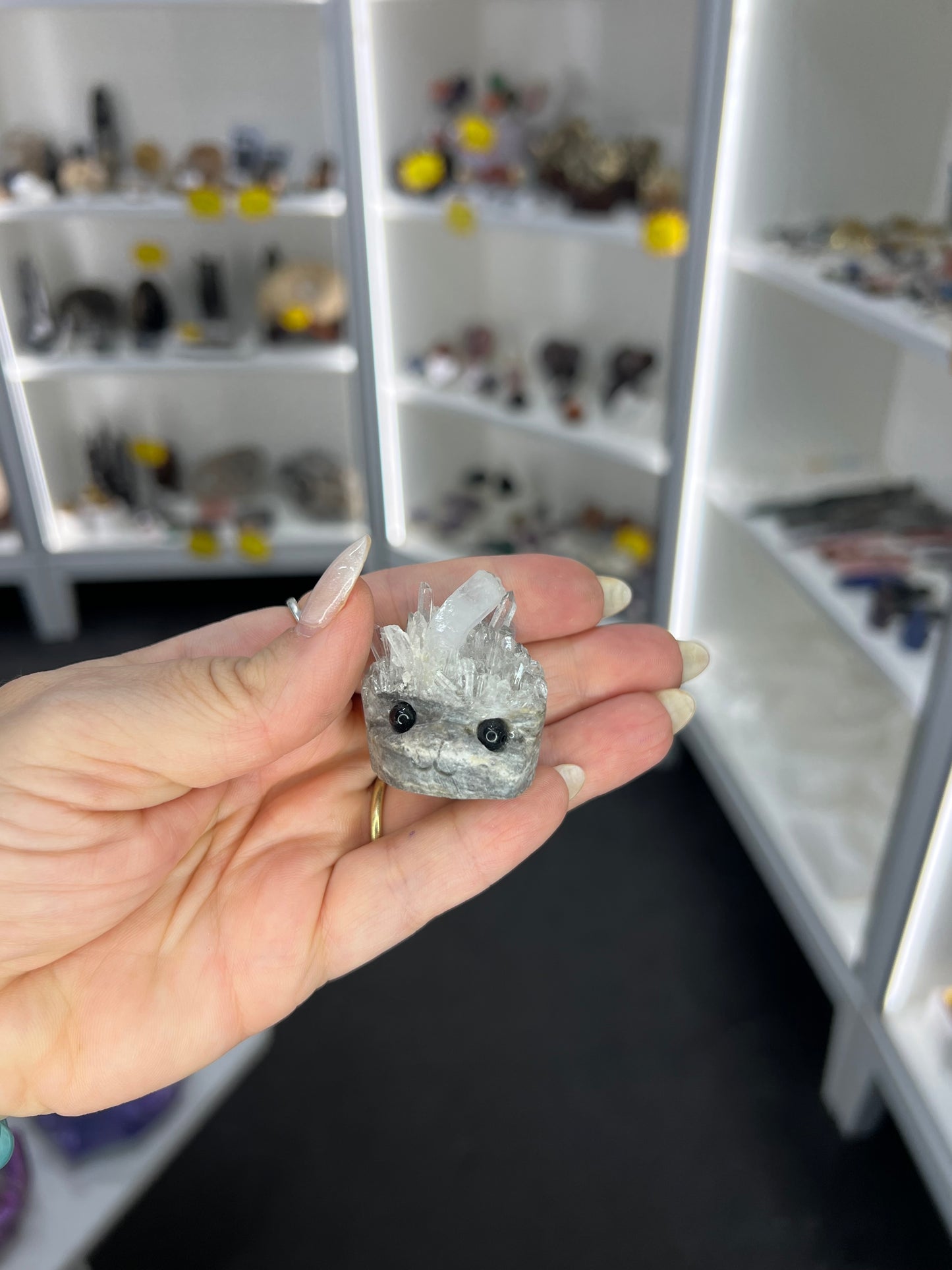 Clear Quartz Cluster Little Guy