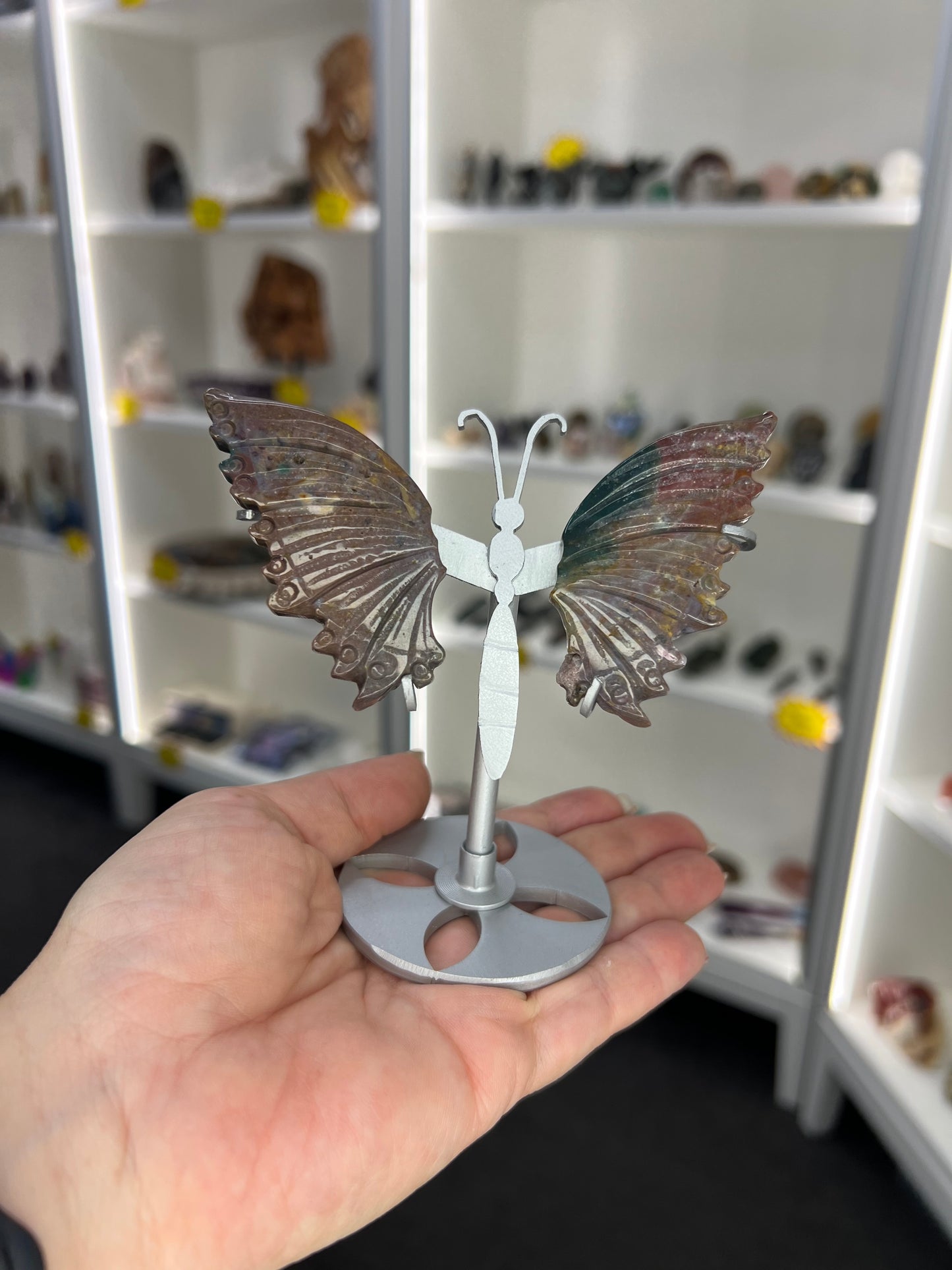 Ocean Jasper Butterfly