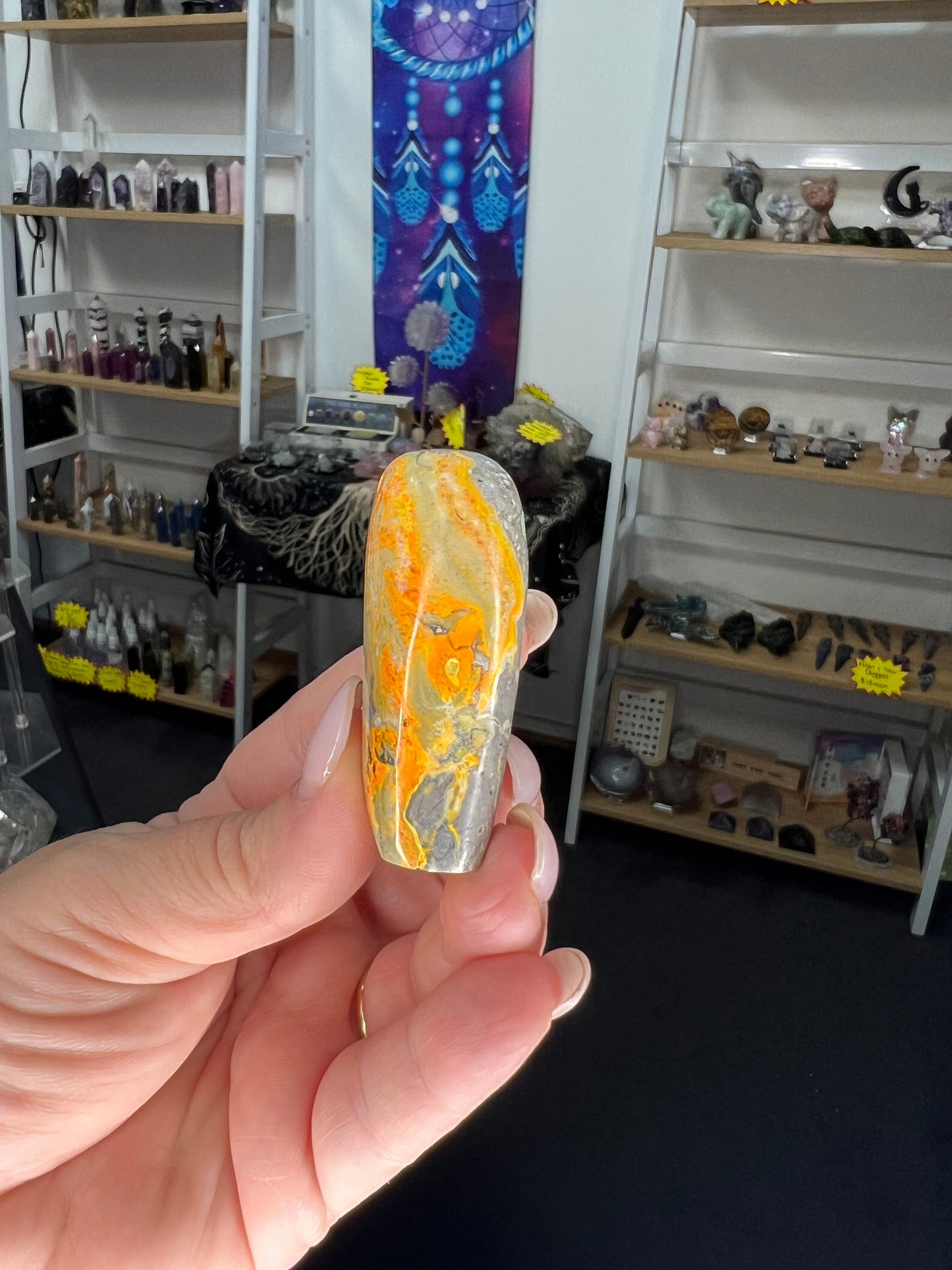 Bumblebee Jasper Freeform