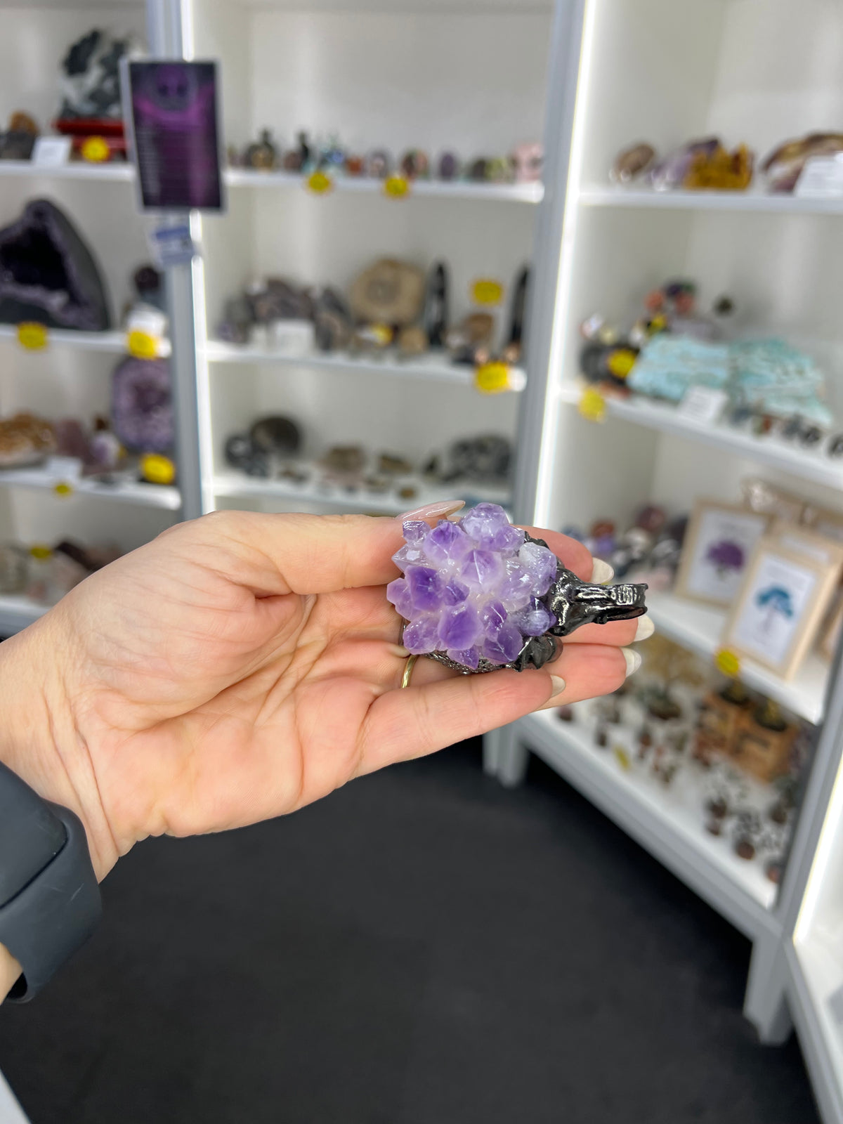 Amethyst Cluster on Grey Elephant