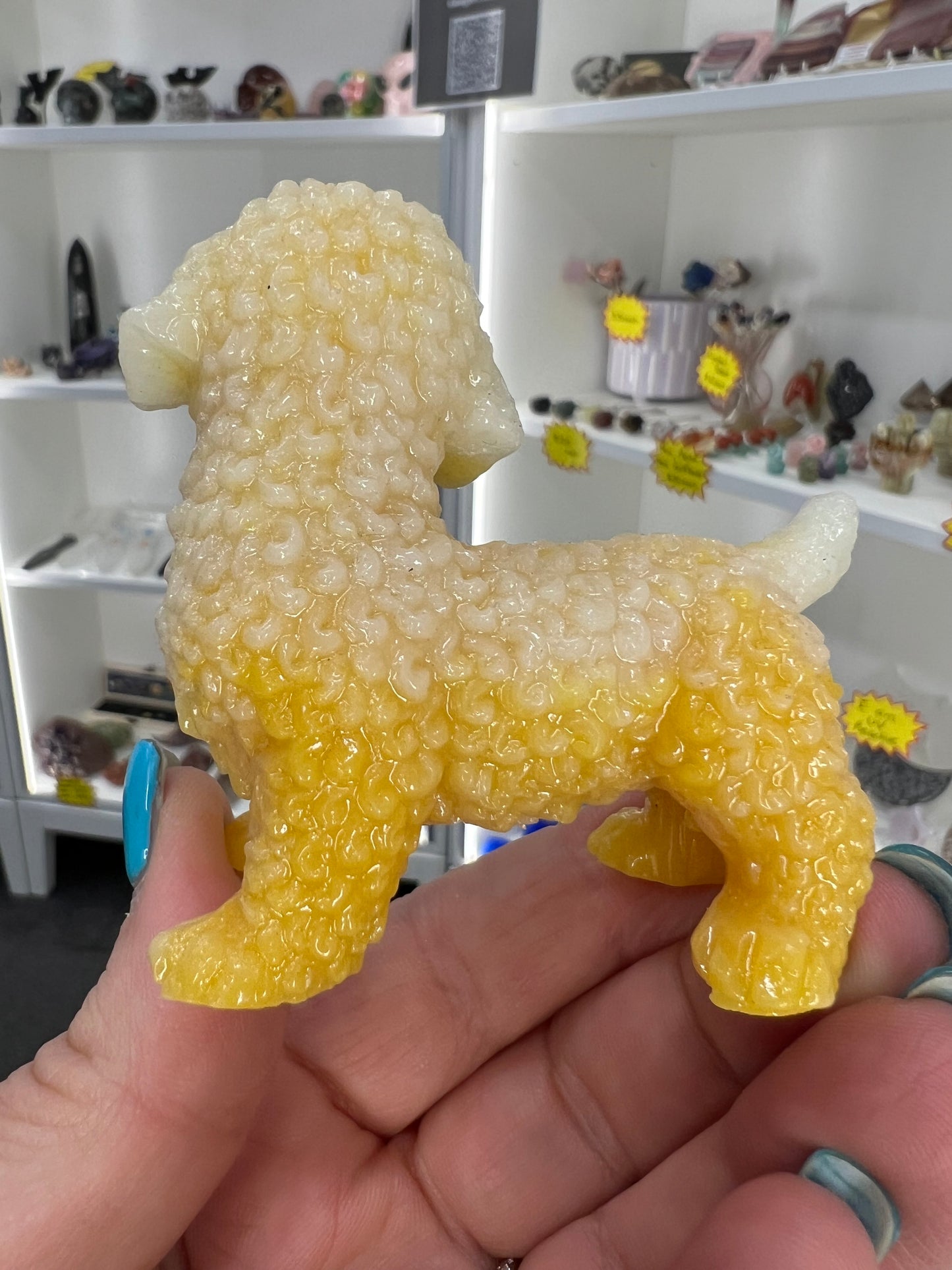 Luminous Dog (Glow in the Dark)