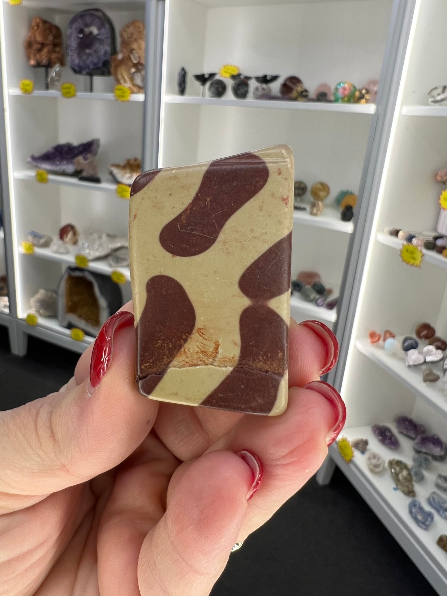 Zebra Stone