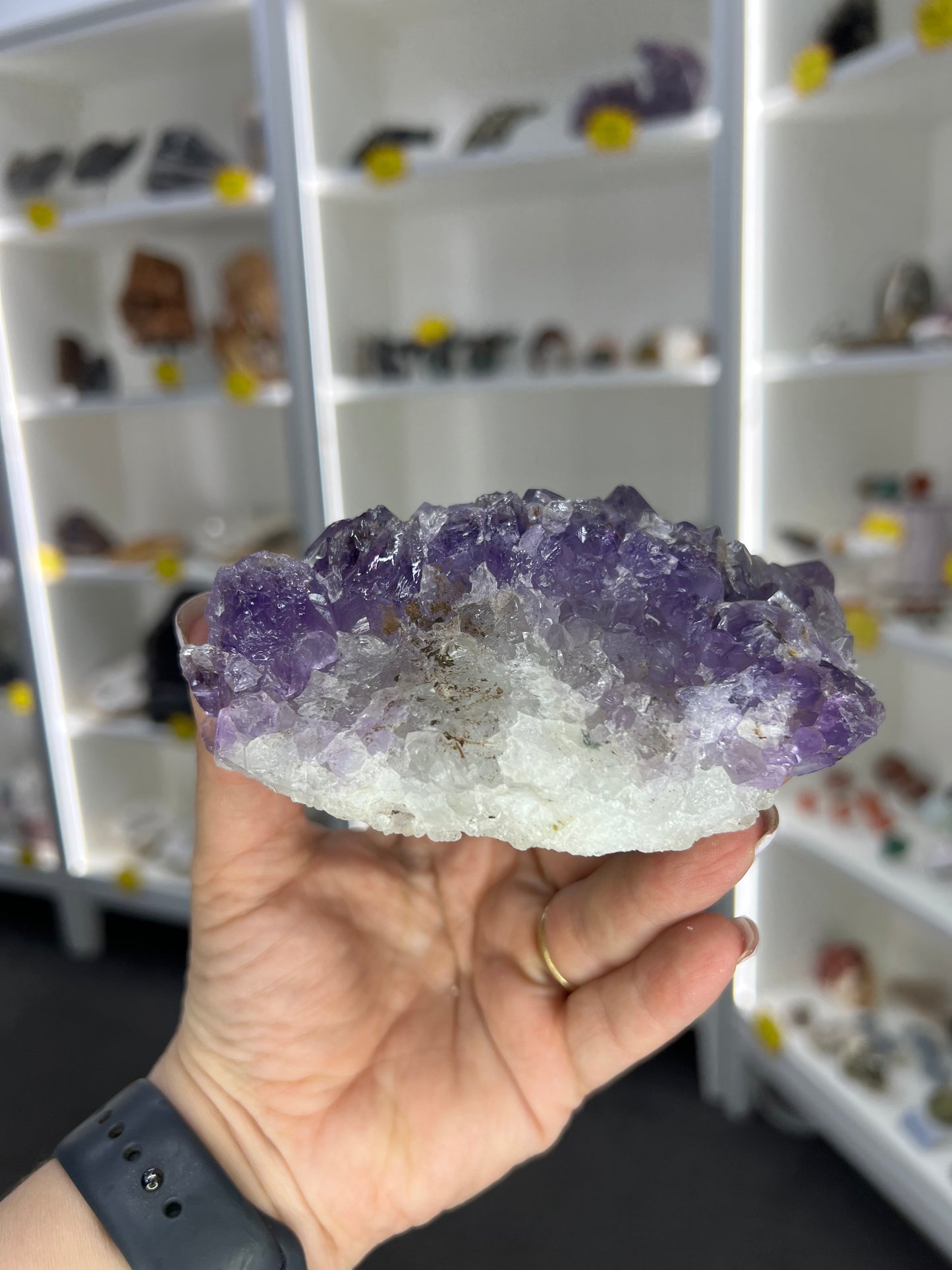 Amethyst Cluster