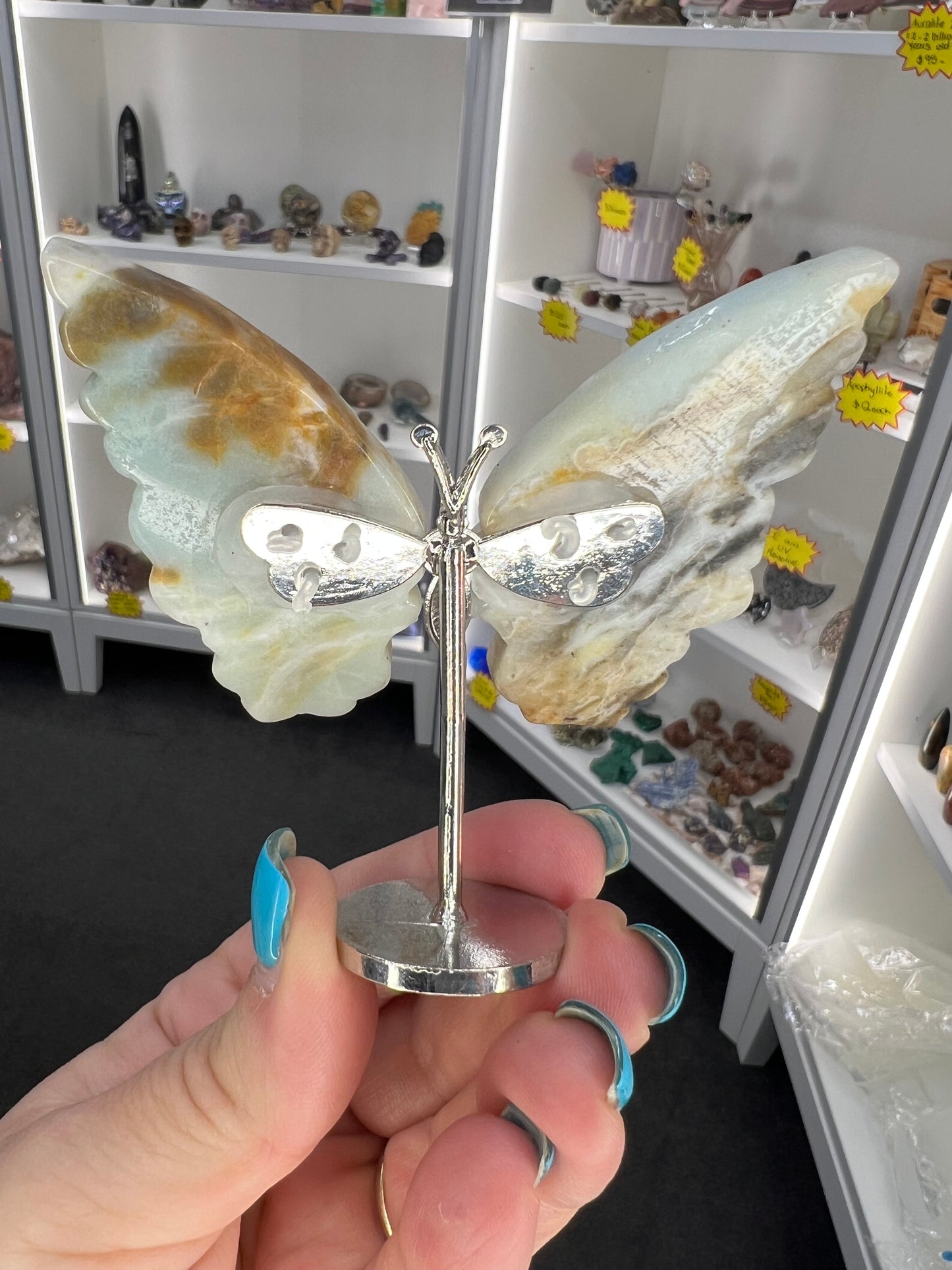 Caribbean Calcite Butterfly