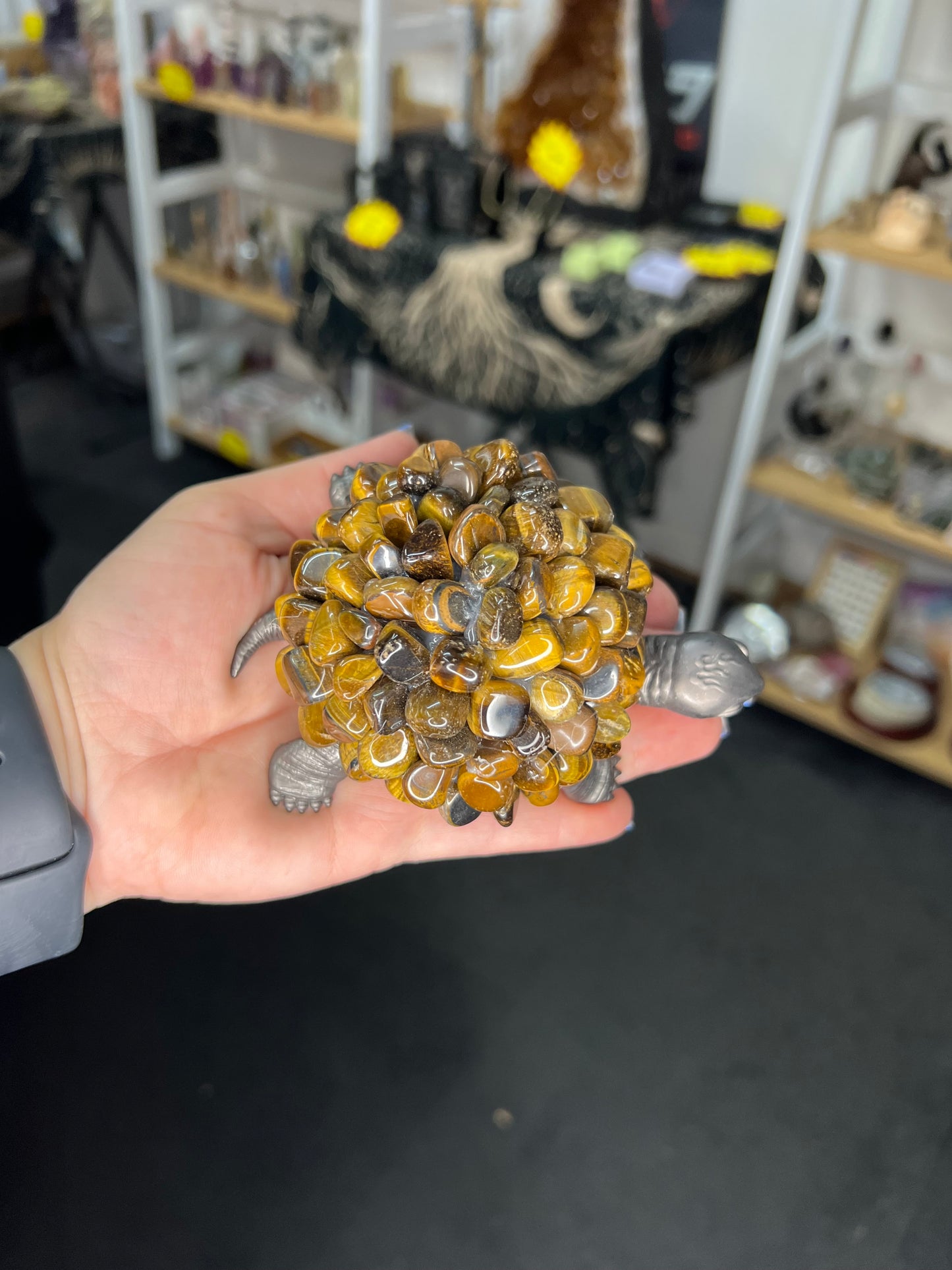 Tiger Eye Turtle