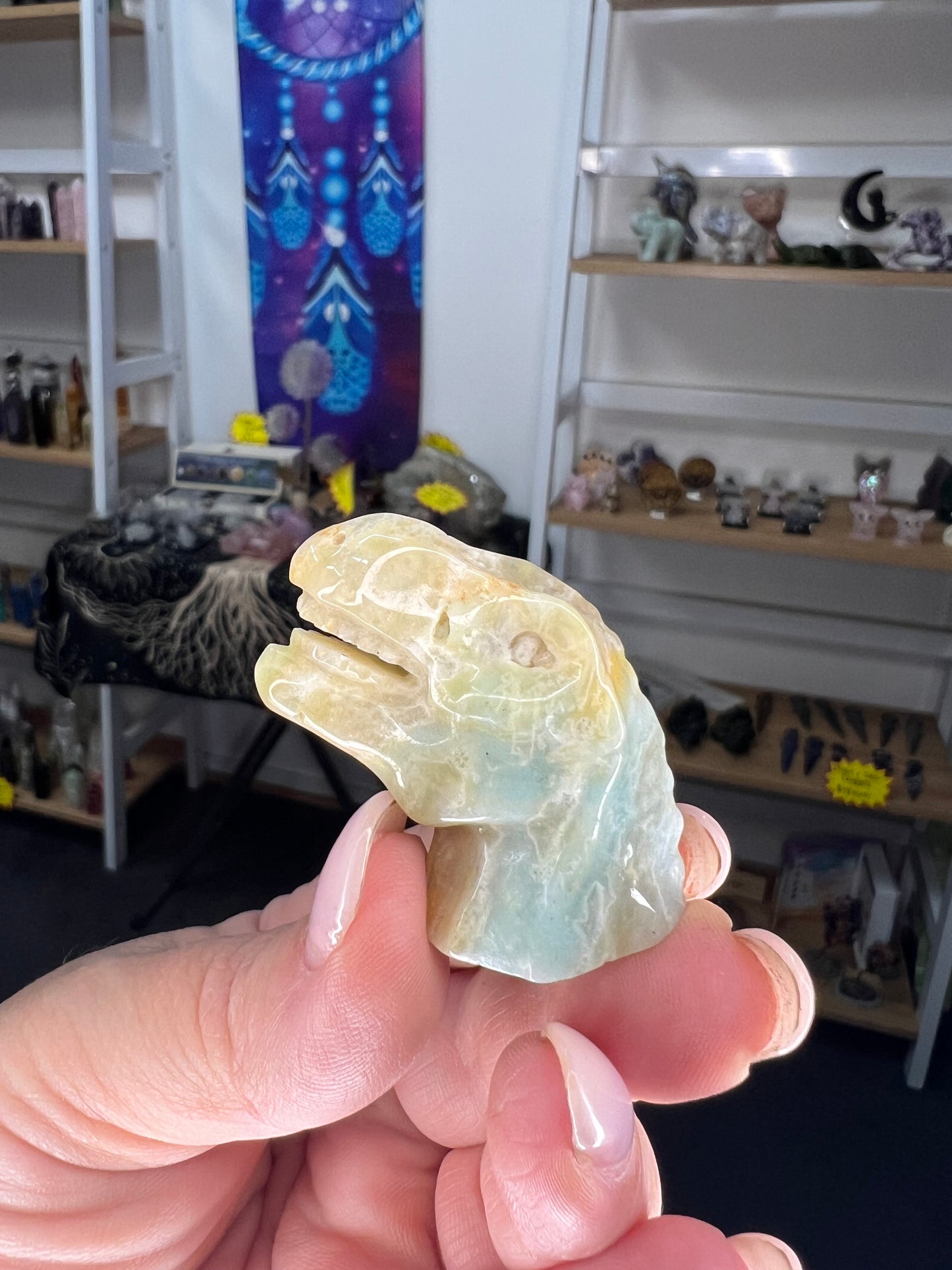 Caribbean Calcite Dinosaur Head