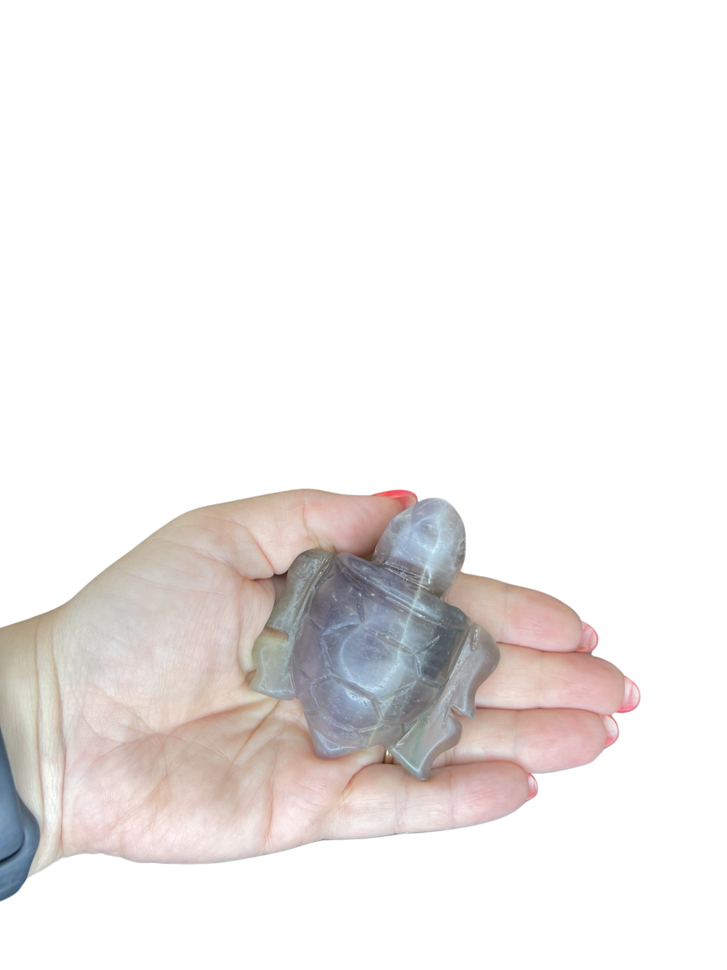 Fluorite Turtle