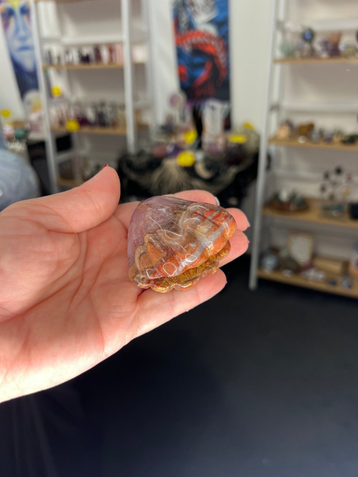 Amethyst x Mexican Lace Agate Shell