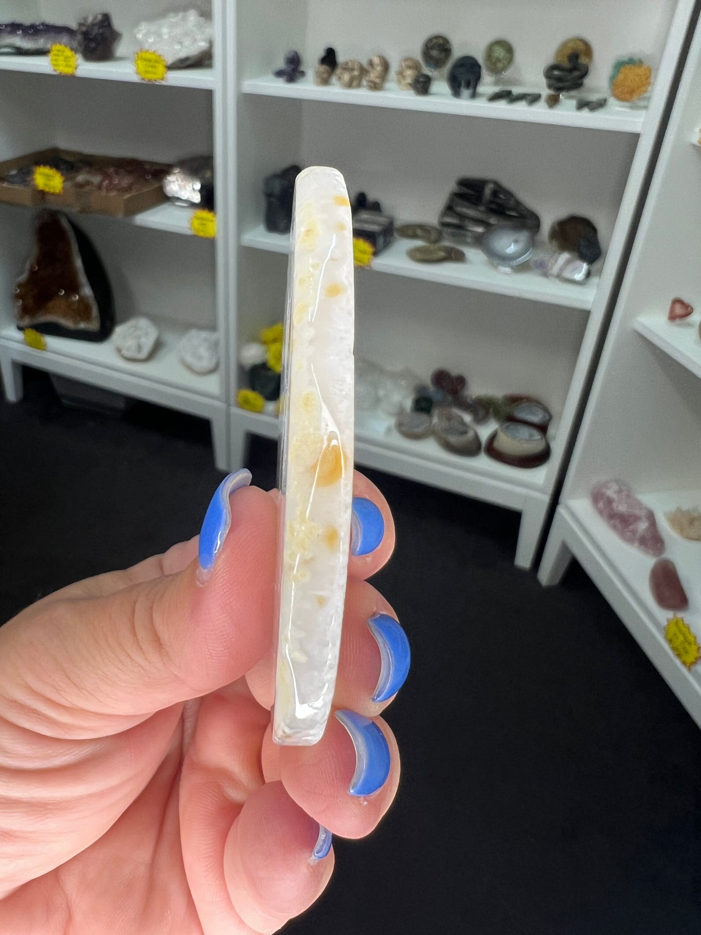 Agate Slice with Pokemon Print