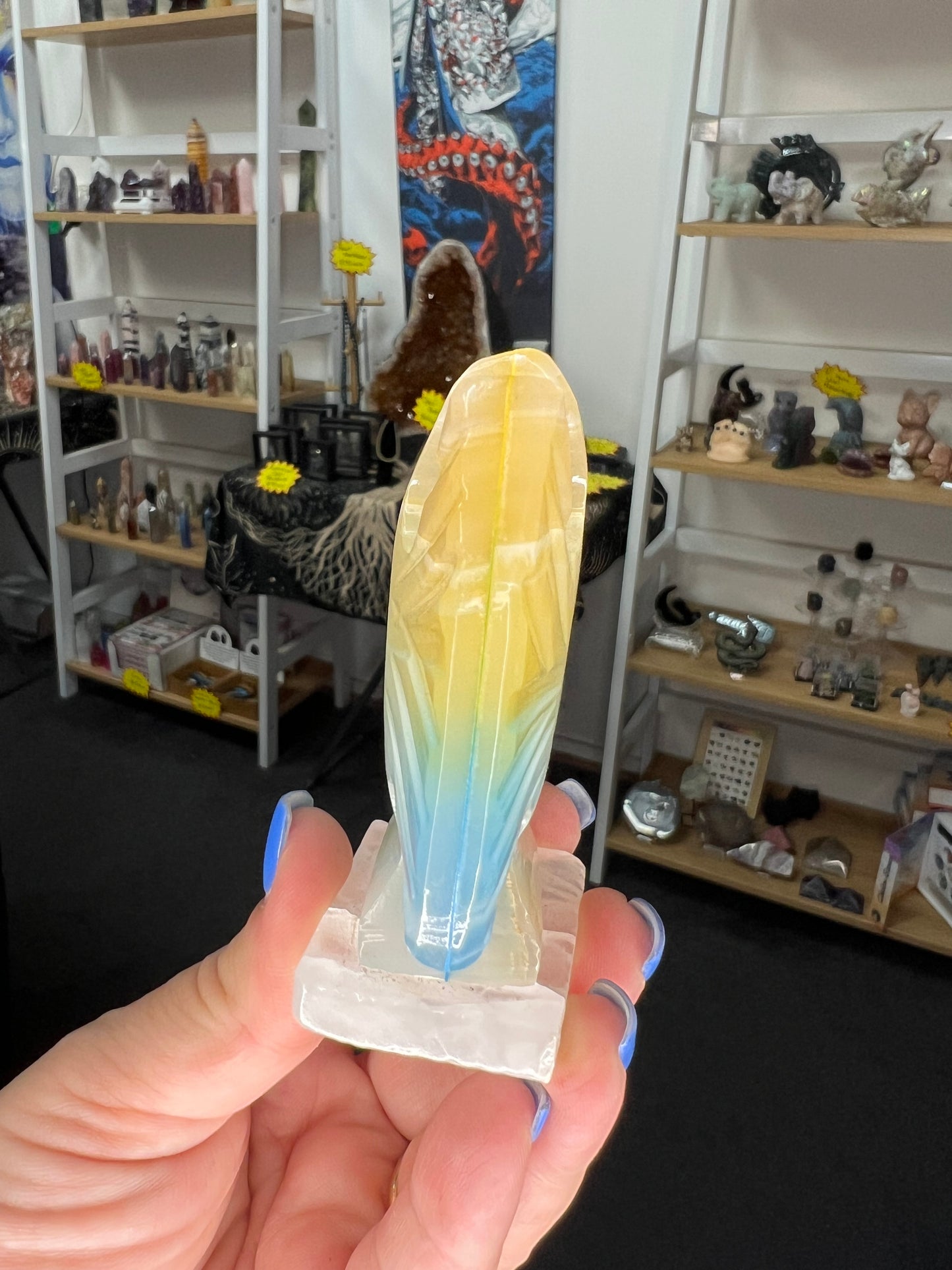 Onyx Fish