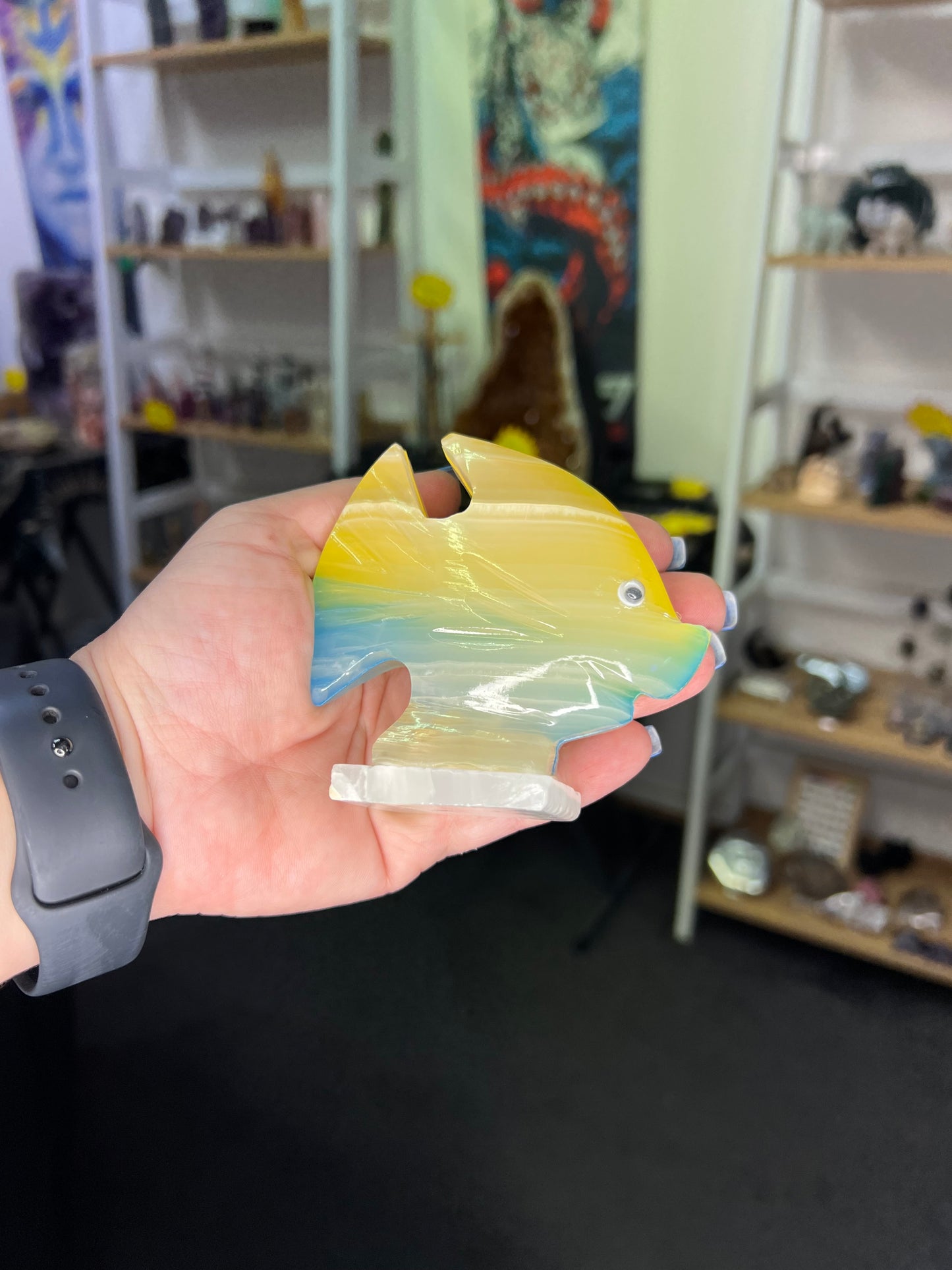 Onyx Fish