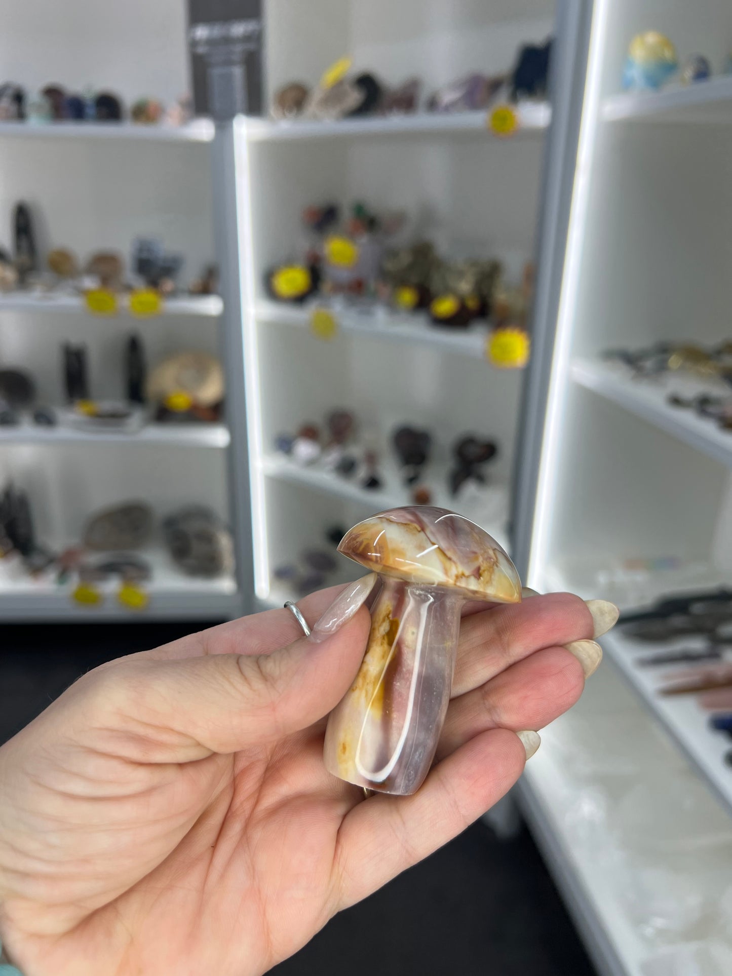 Ocean Jasper Mushroom