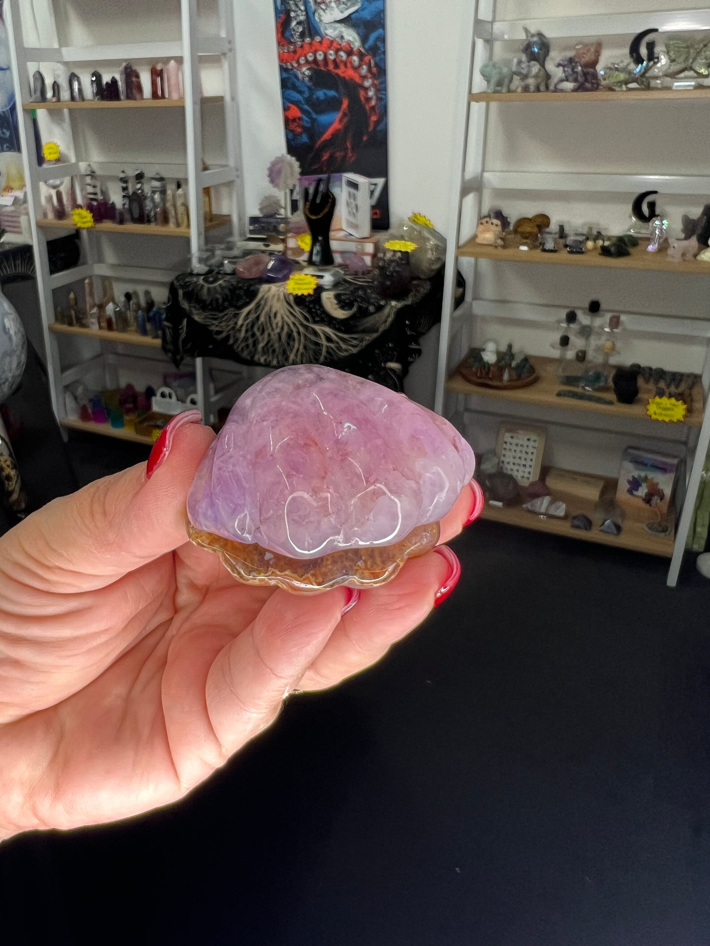 Amethyst x Mexican Lace Agate Shell