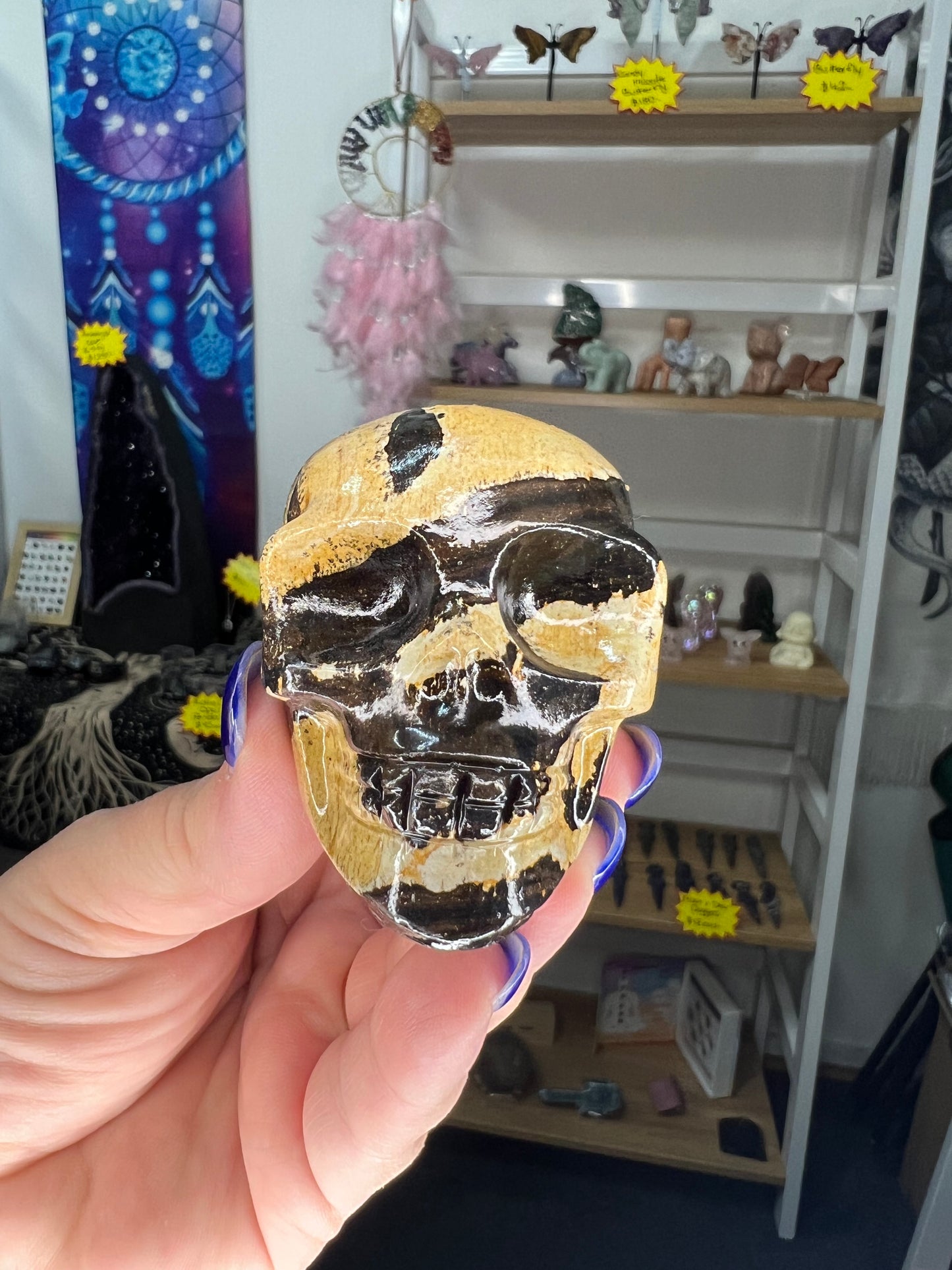 Picture Stone Jasper Skull