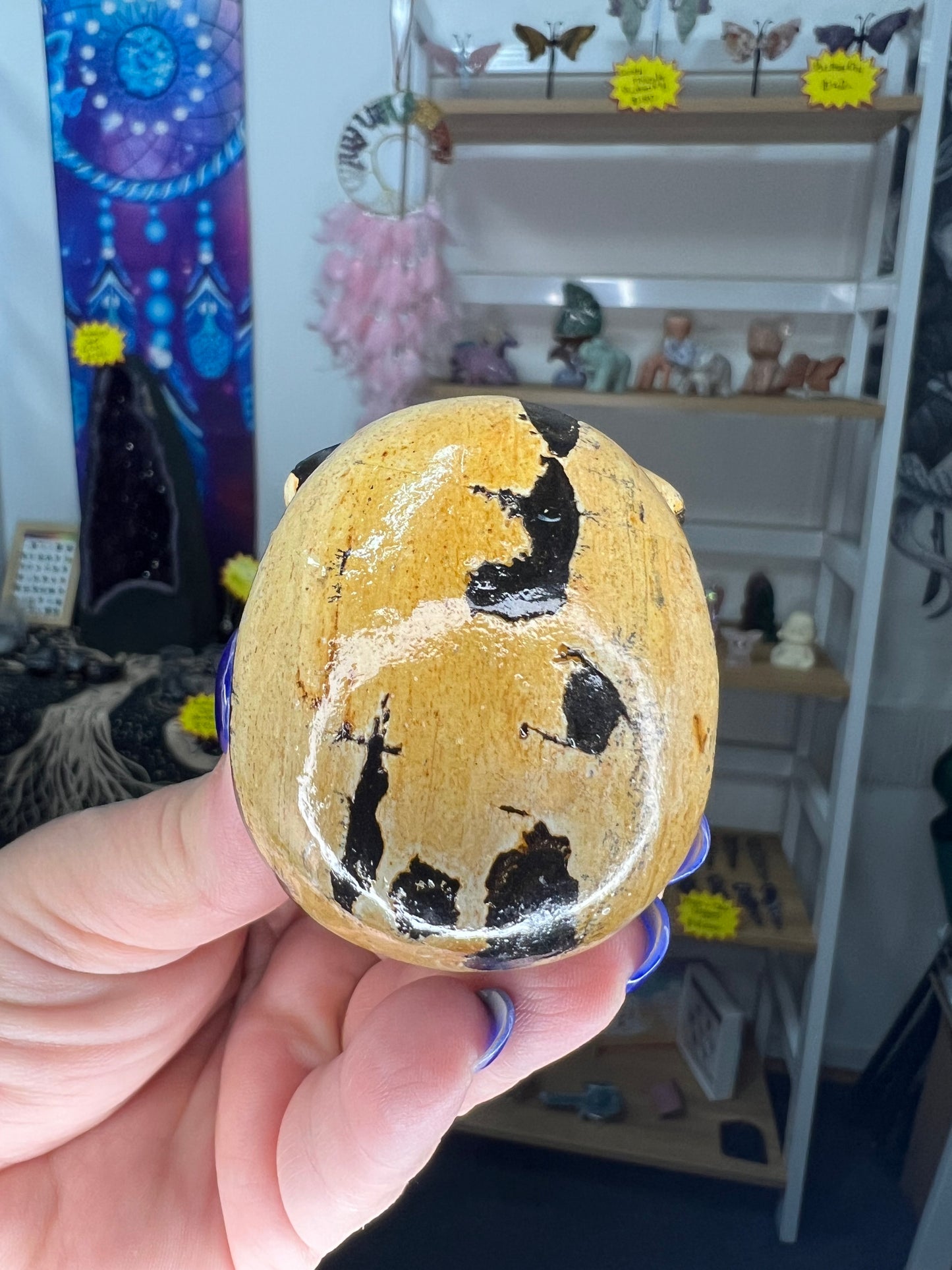 Picture Stone Jasper Skull