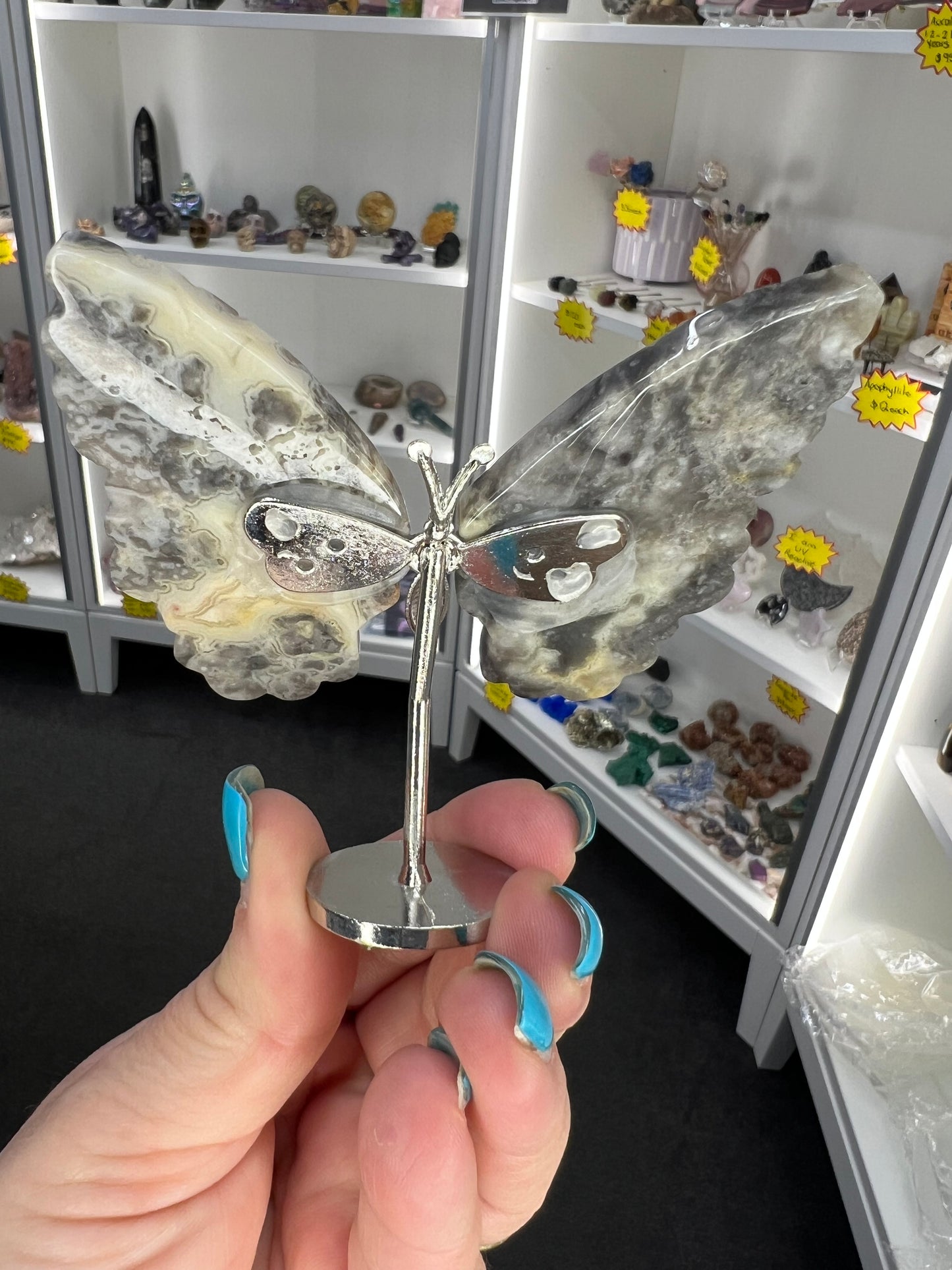 Crazy Lace Agate Butterfly
