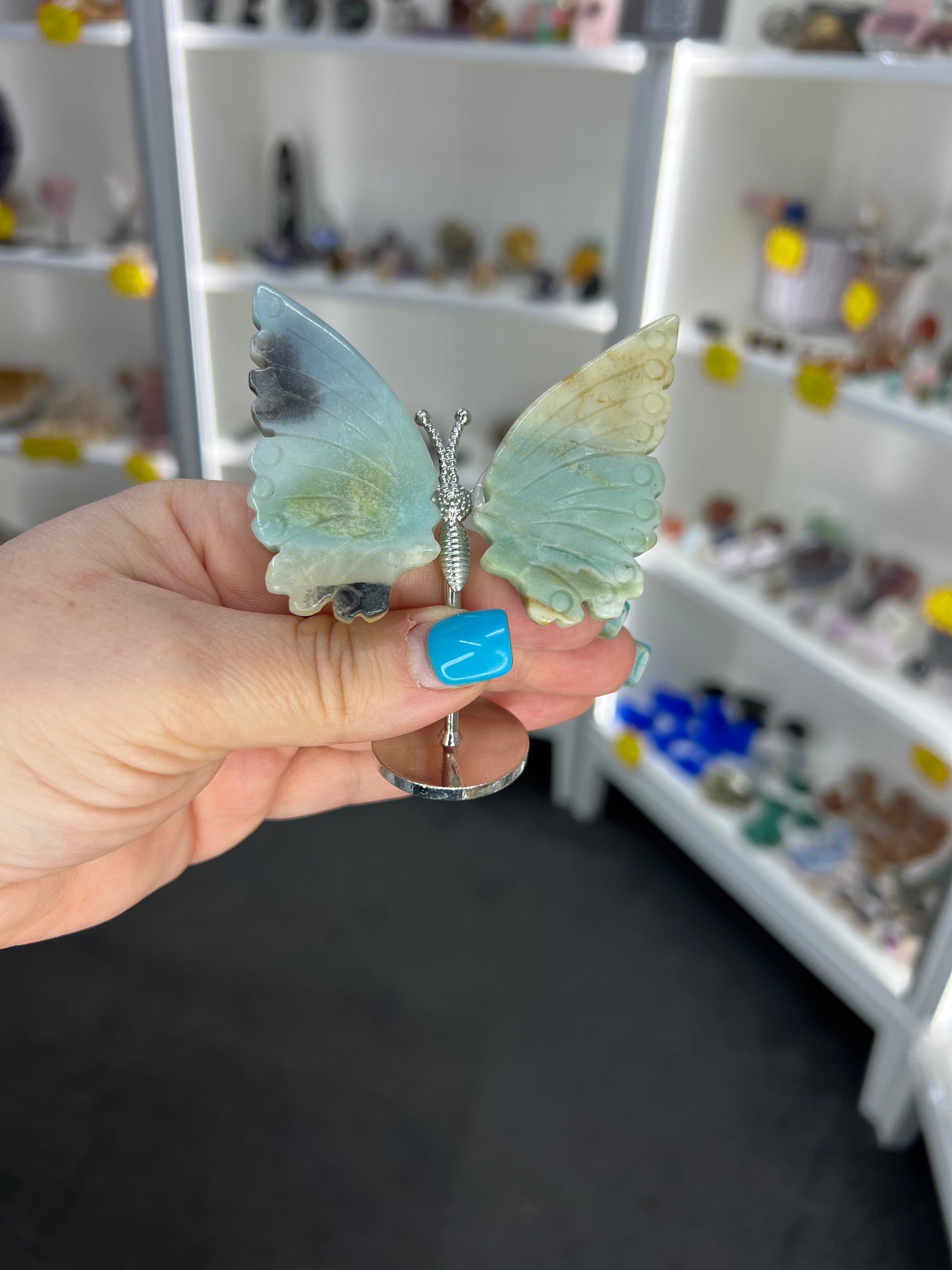 Caribbean Calcite Butterfly