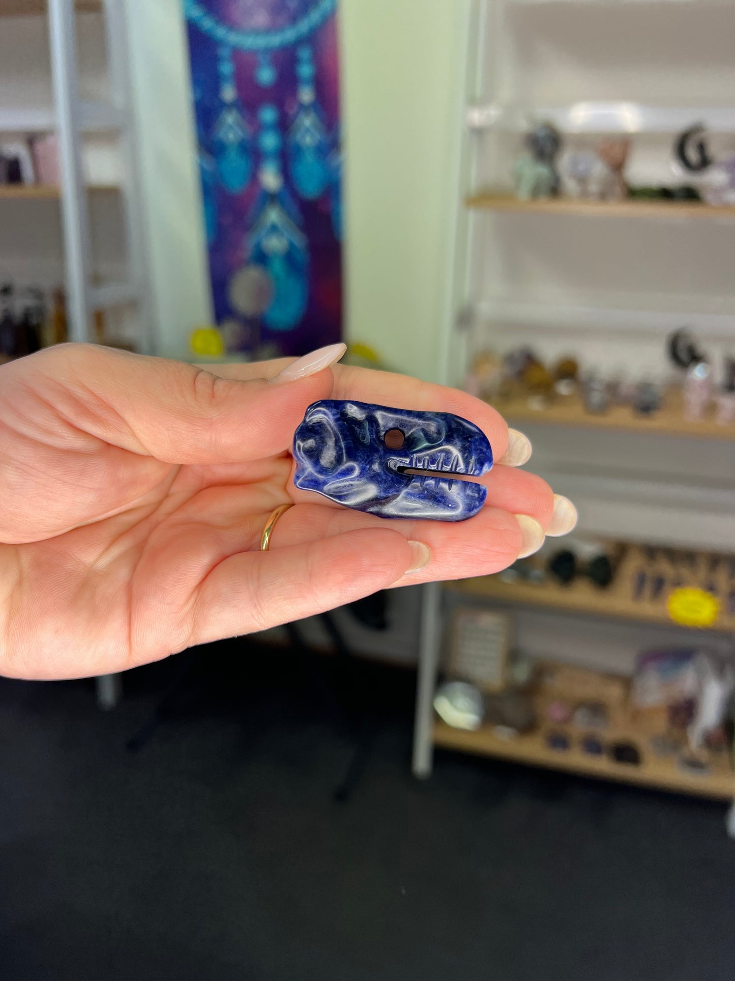 Sodalite Dinosaur Skull