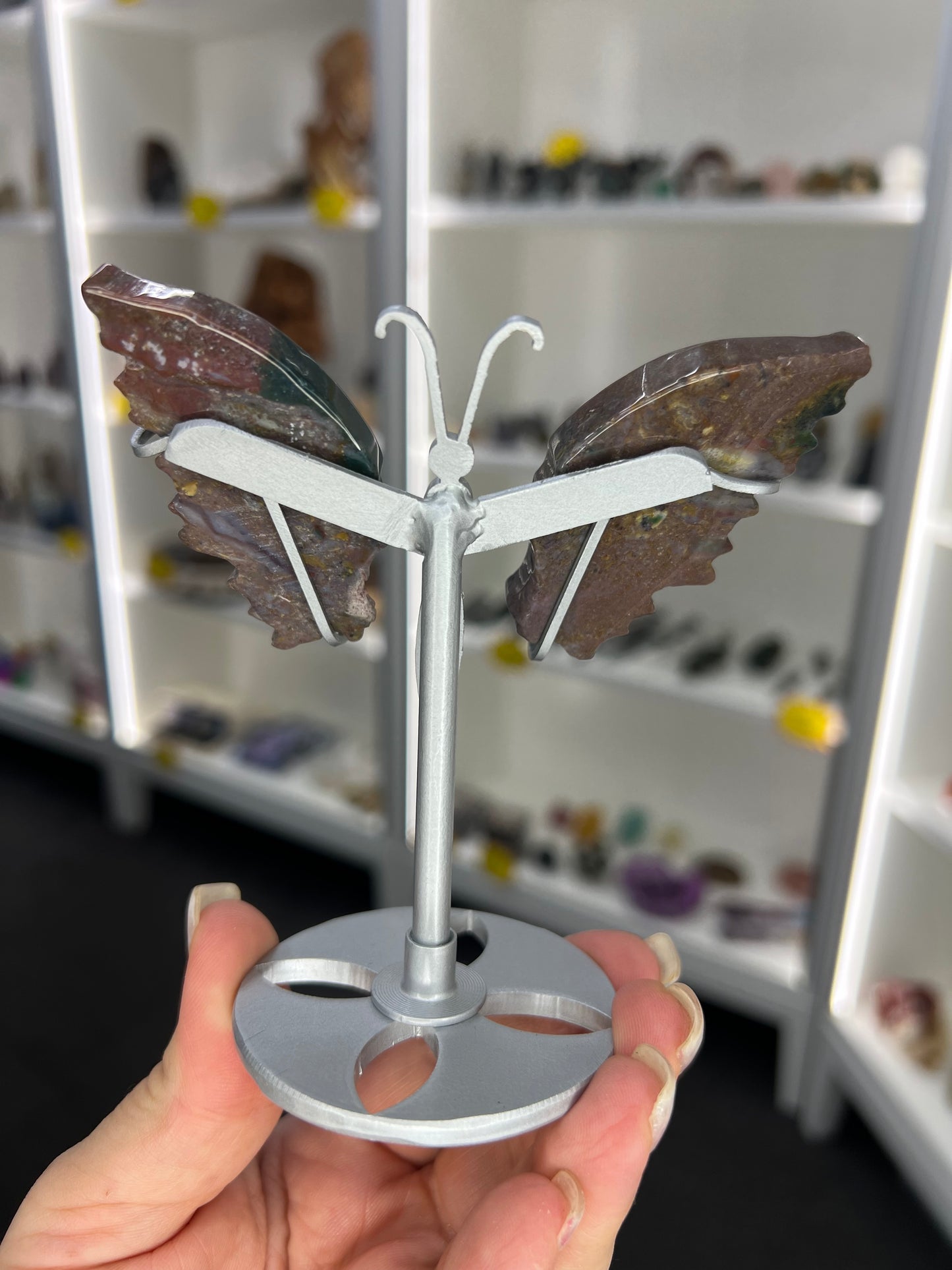 Ocean Jasper Butterfly