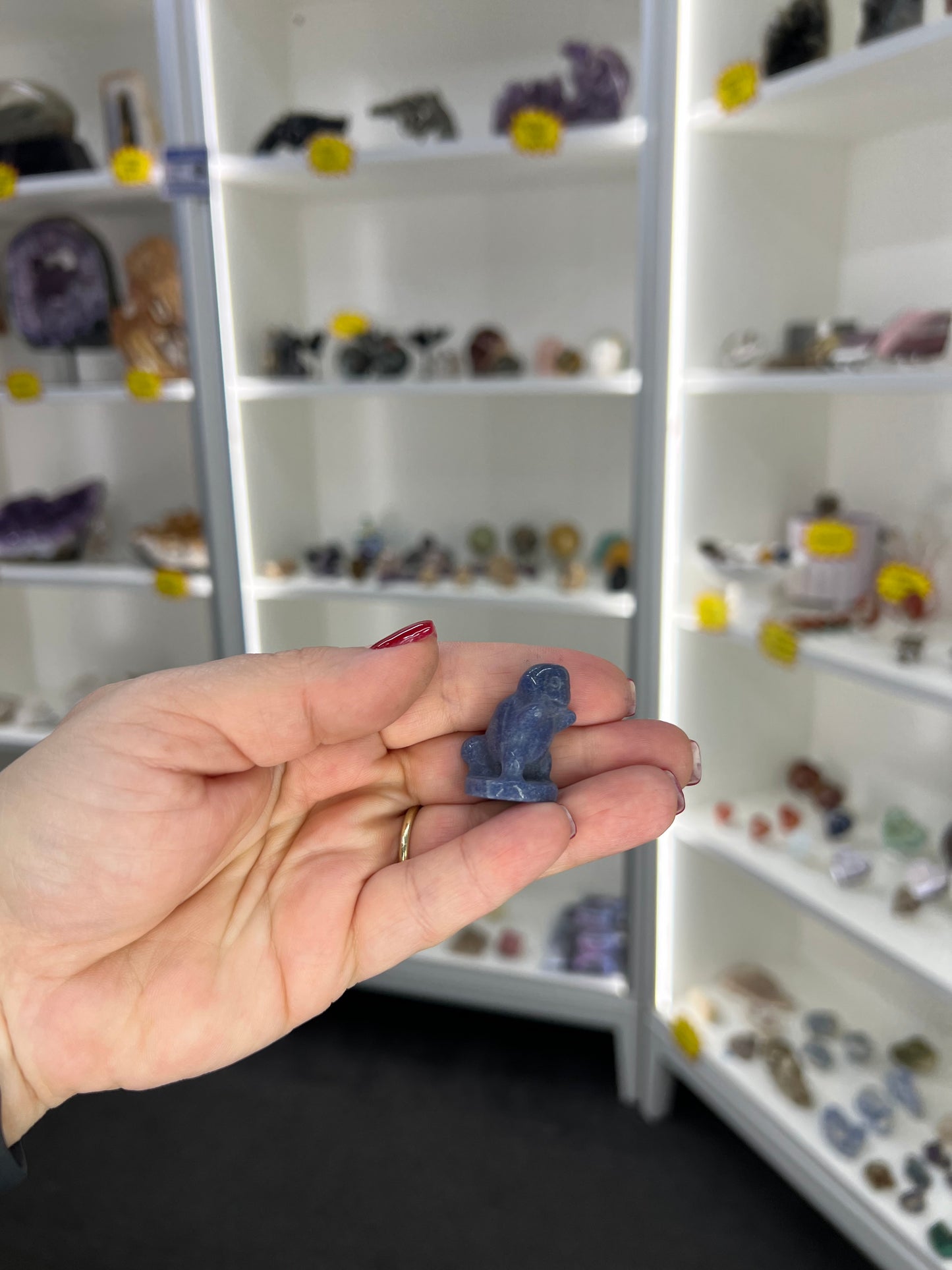 Blue Aventurine Squirtle