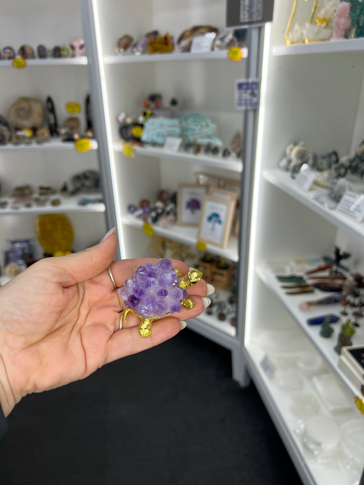 Amethyst Cluster on Gold Turtle