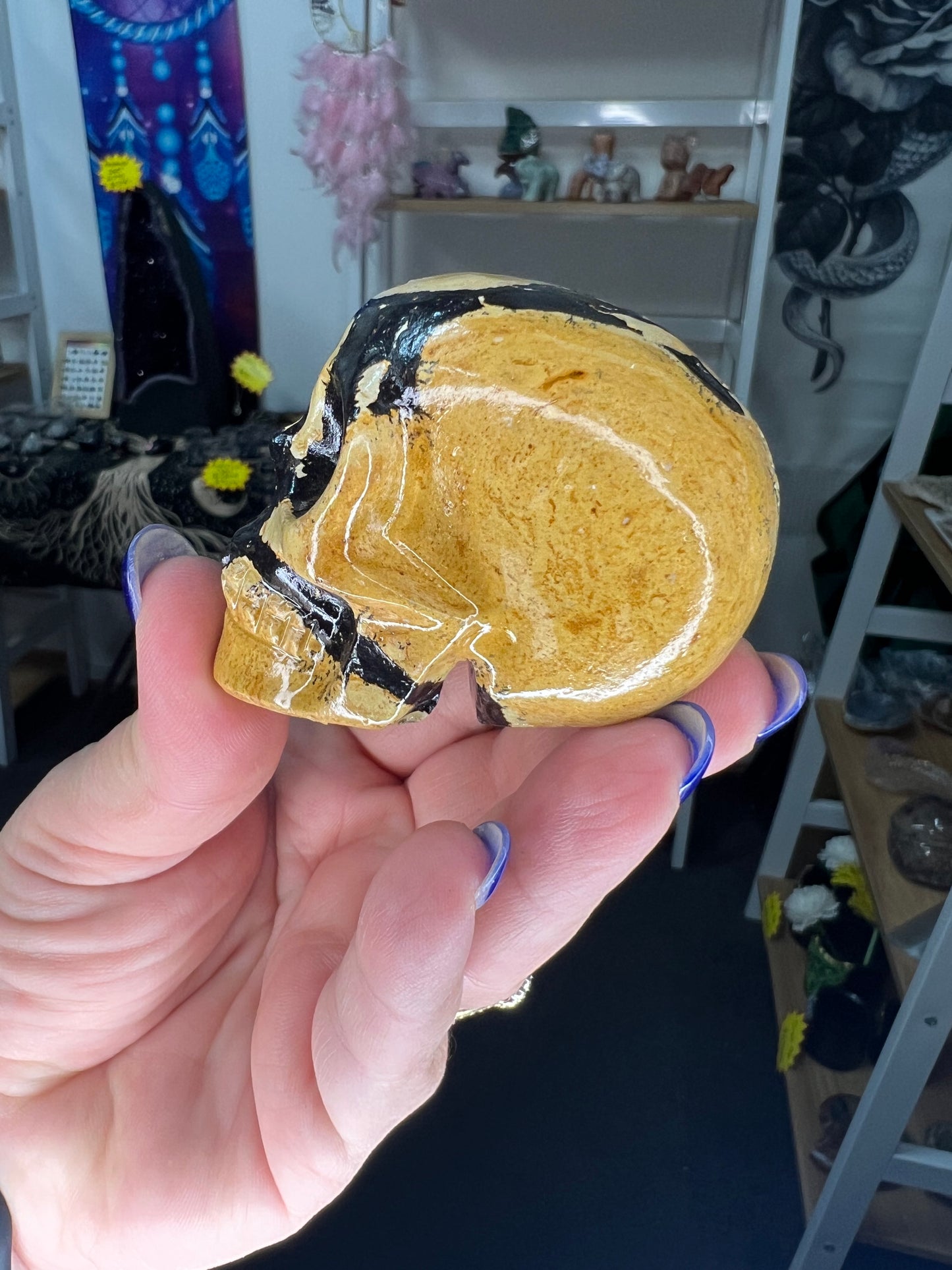 Picture Stone Jasper Skull